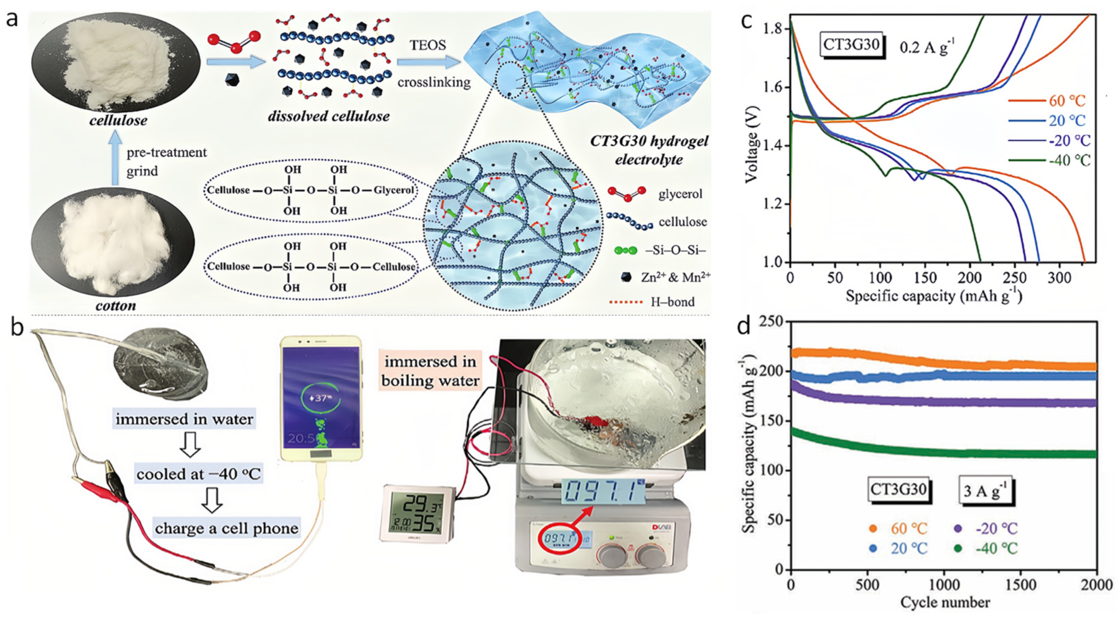 Nanomaterials 14 01645 g007