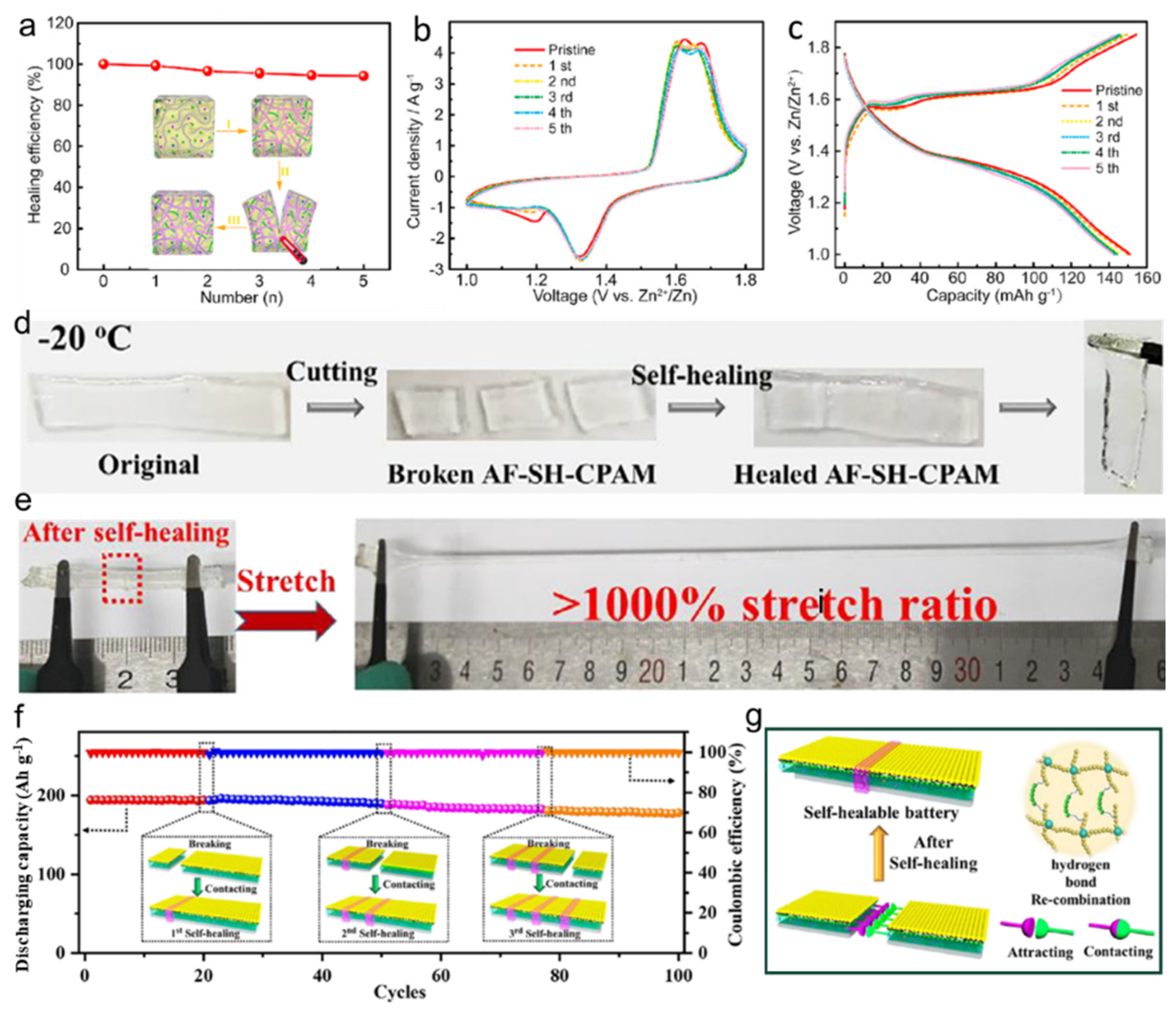 Nanomaterials 14 01645 g008