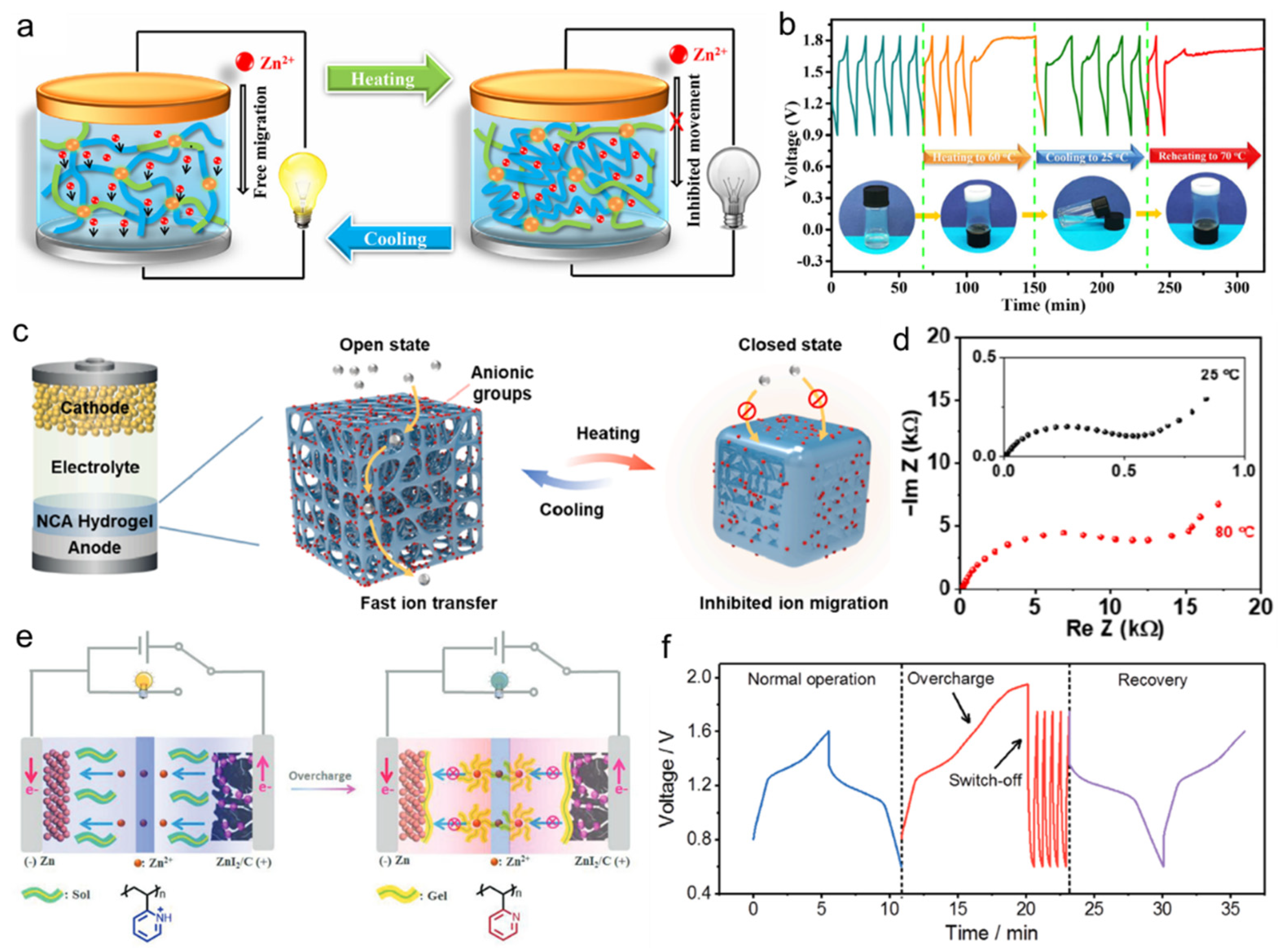 Nanomaterials 14 01645 g009