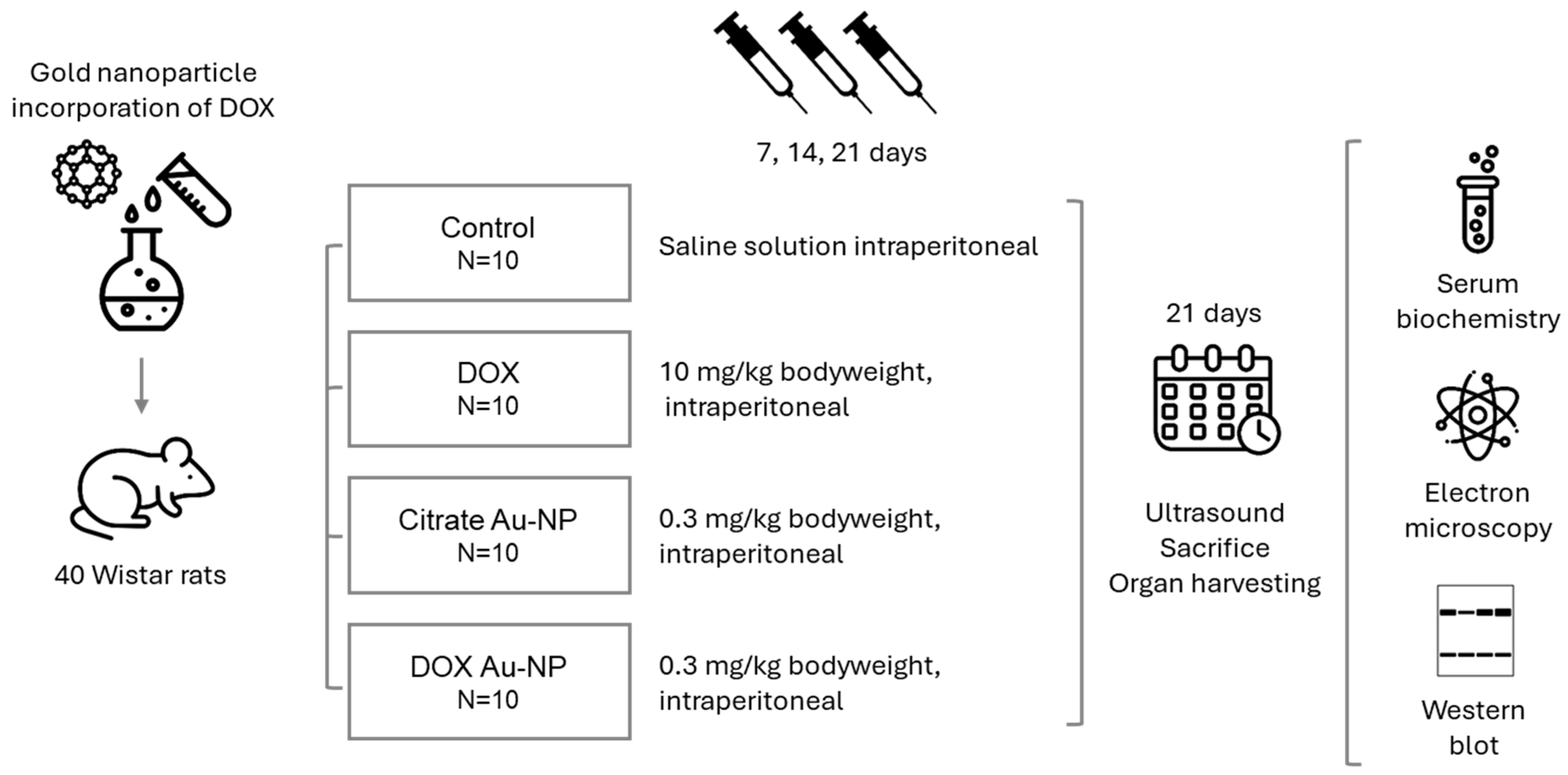 Nanomaterials 14 01647 g001