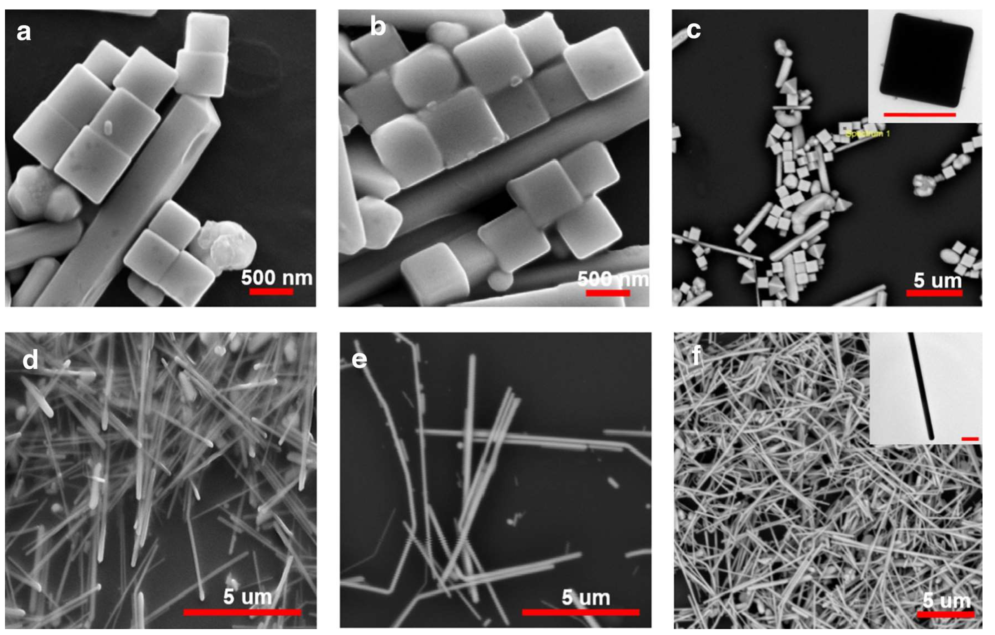 Nanomaterials 14 01648 g001