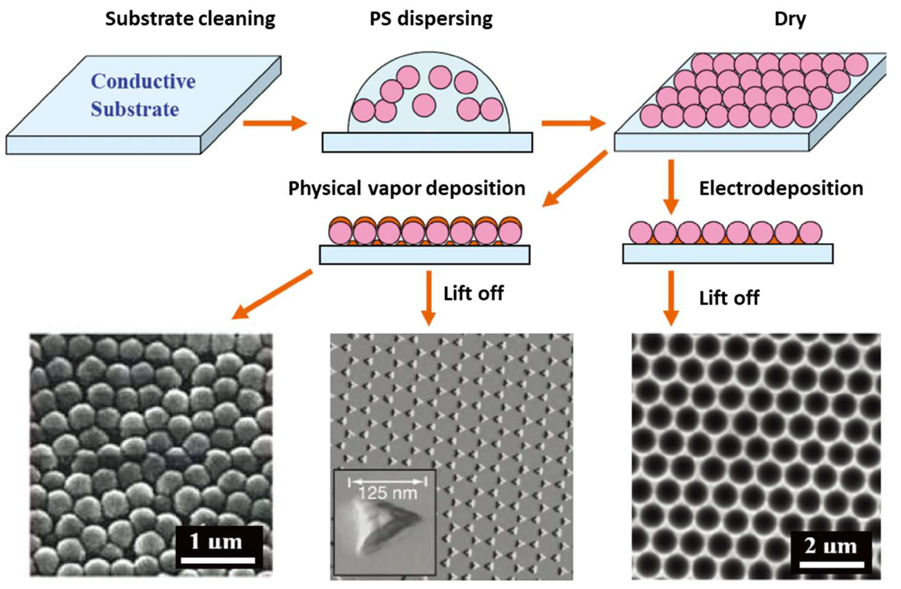 Nanomaterials 14 01648 g006