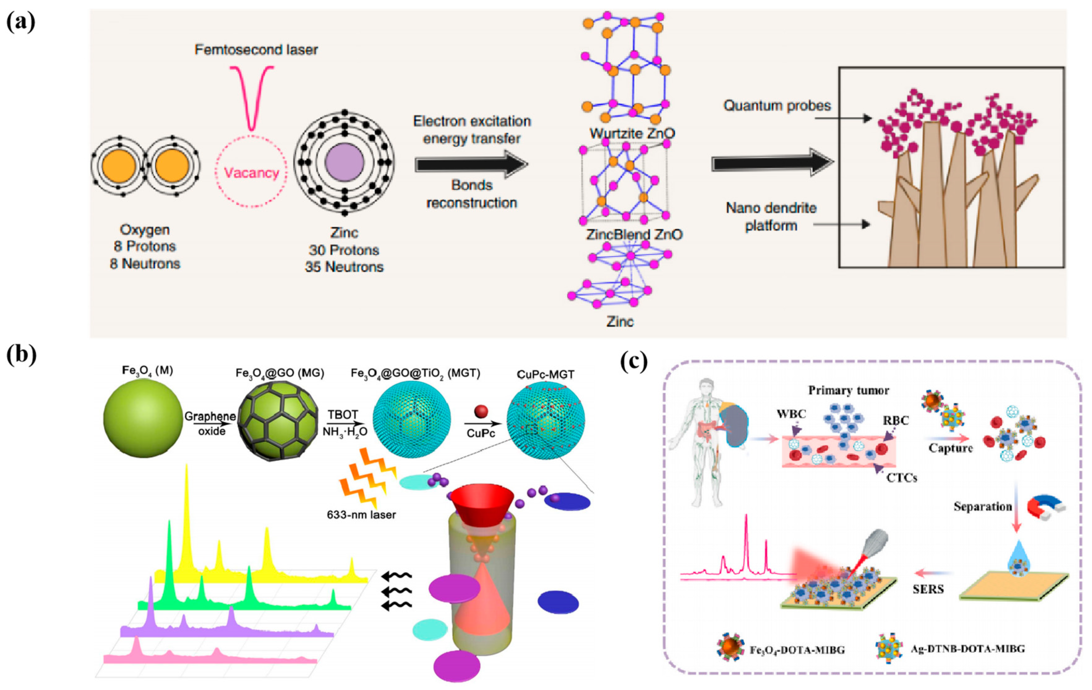 Nanomaterials 14 01654 g007