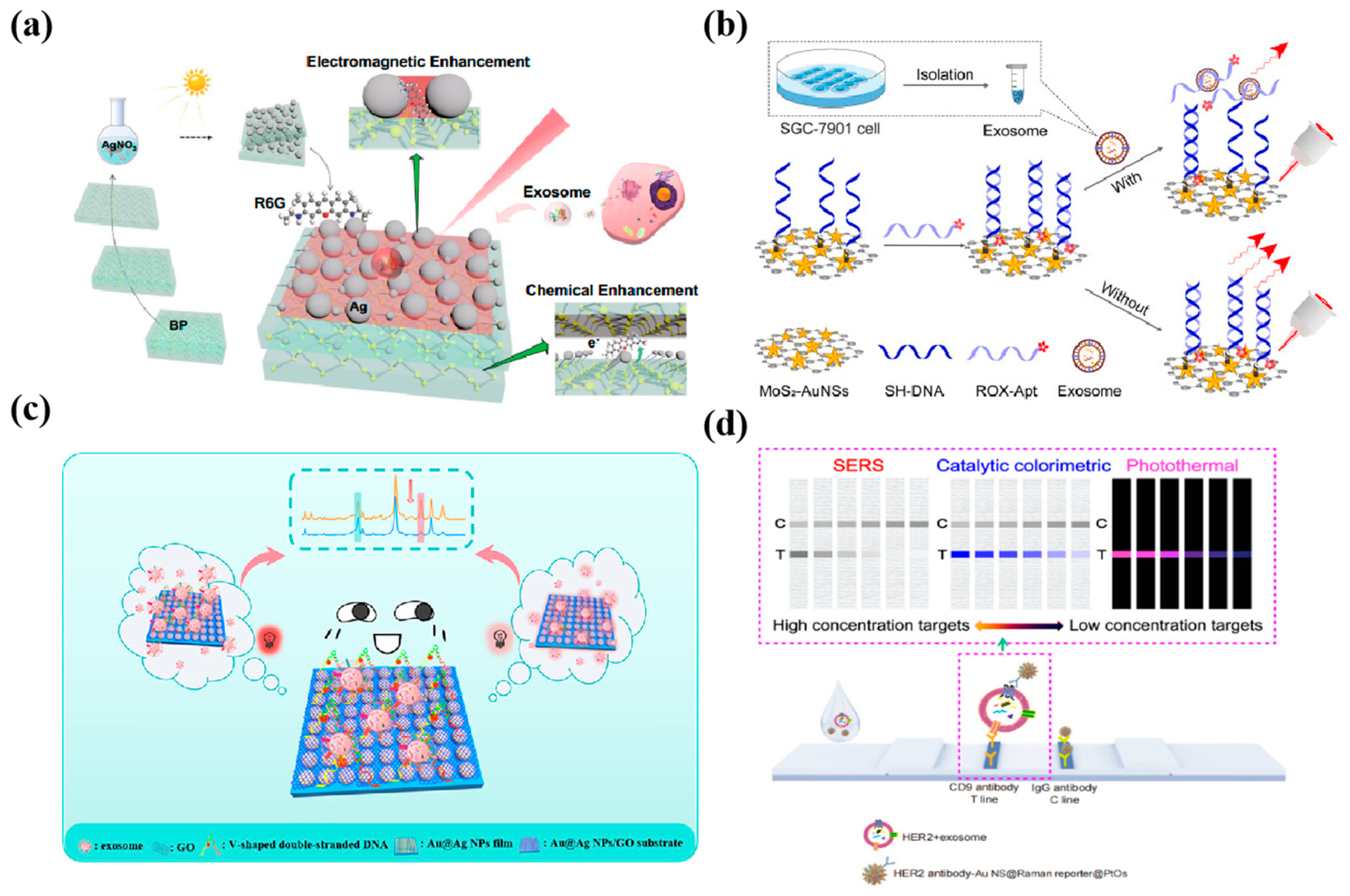 Nanomaterials 14 01654 g008