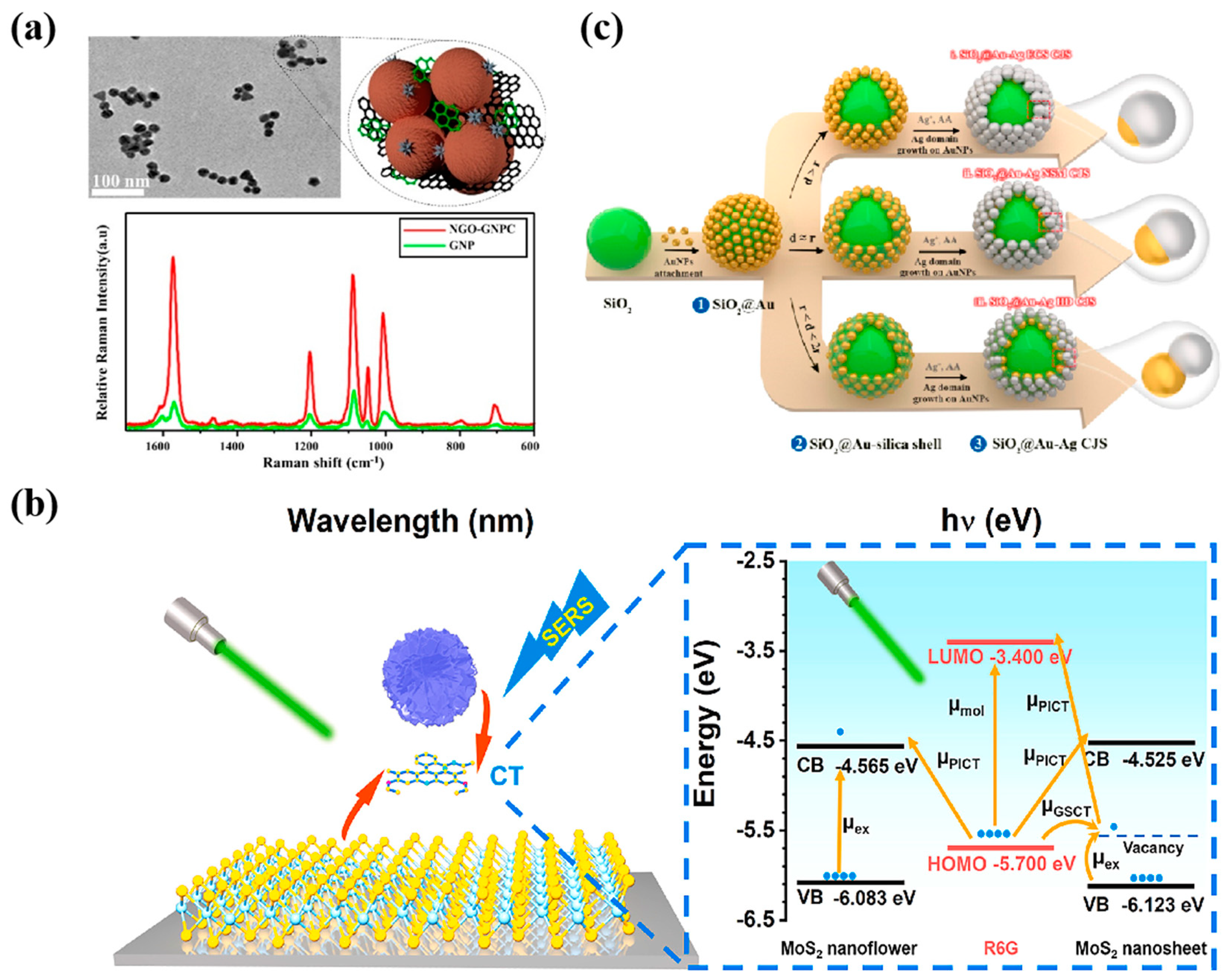 Nanomaterials 14 01654 g009