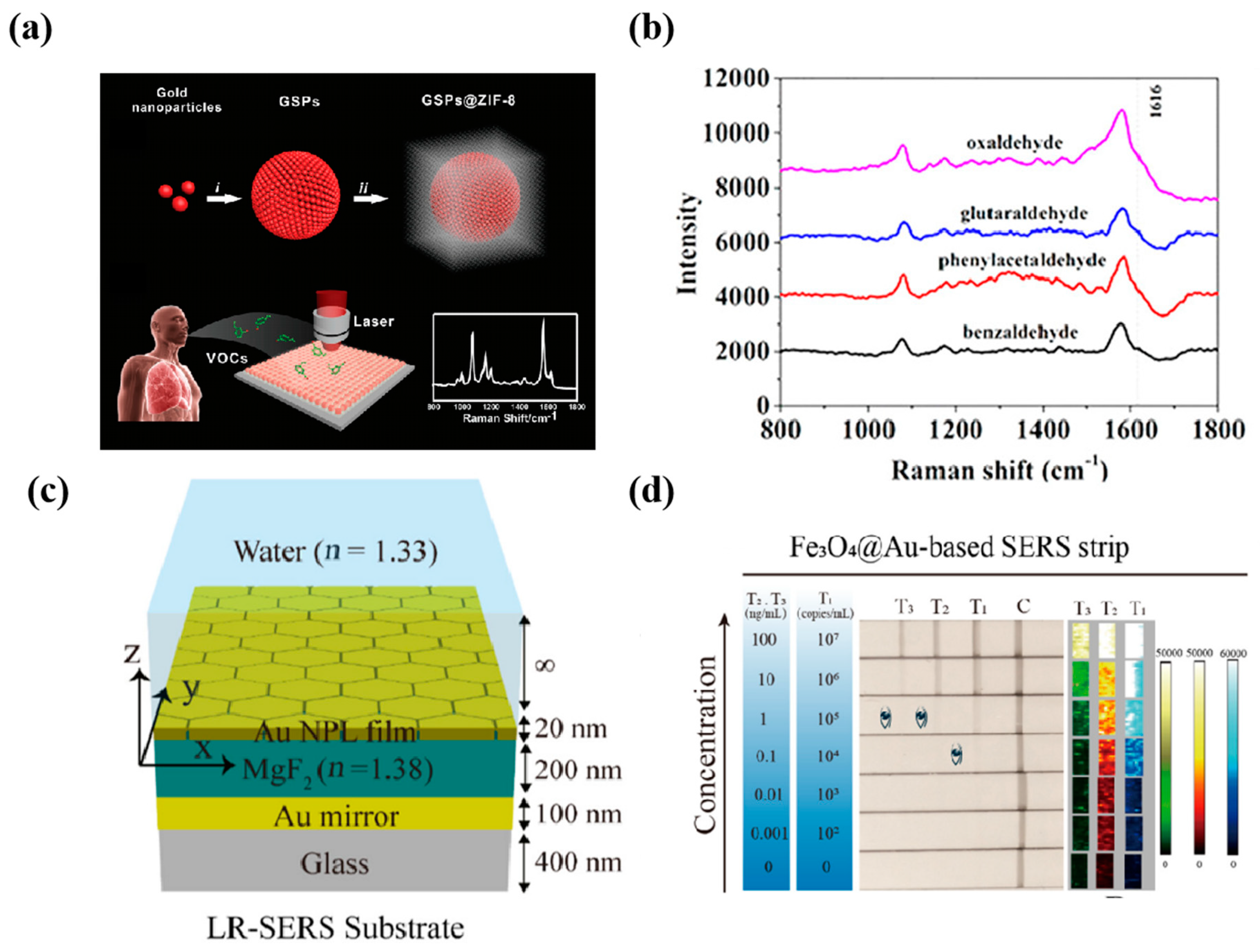 Nanomaterials 14 01654 g010