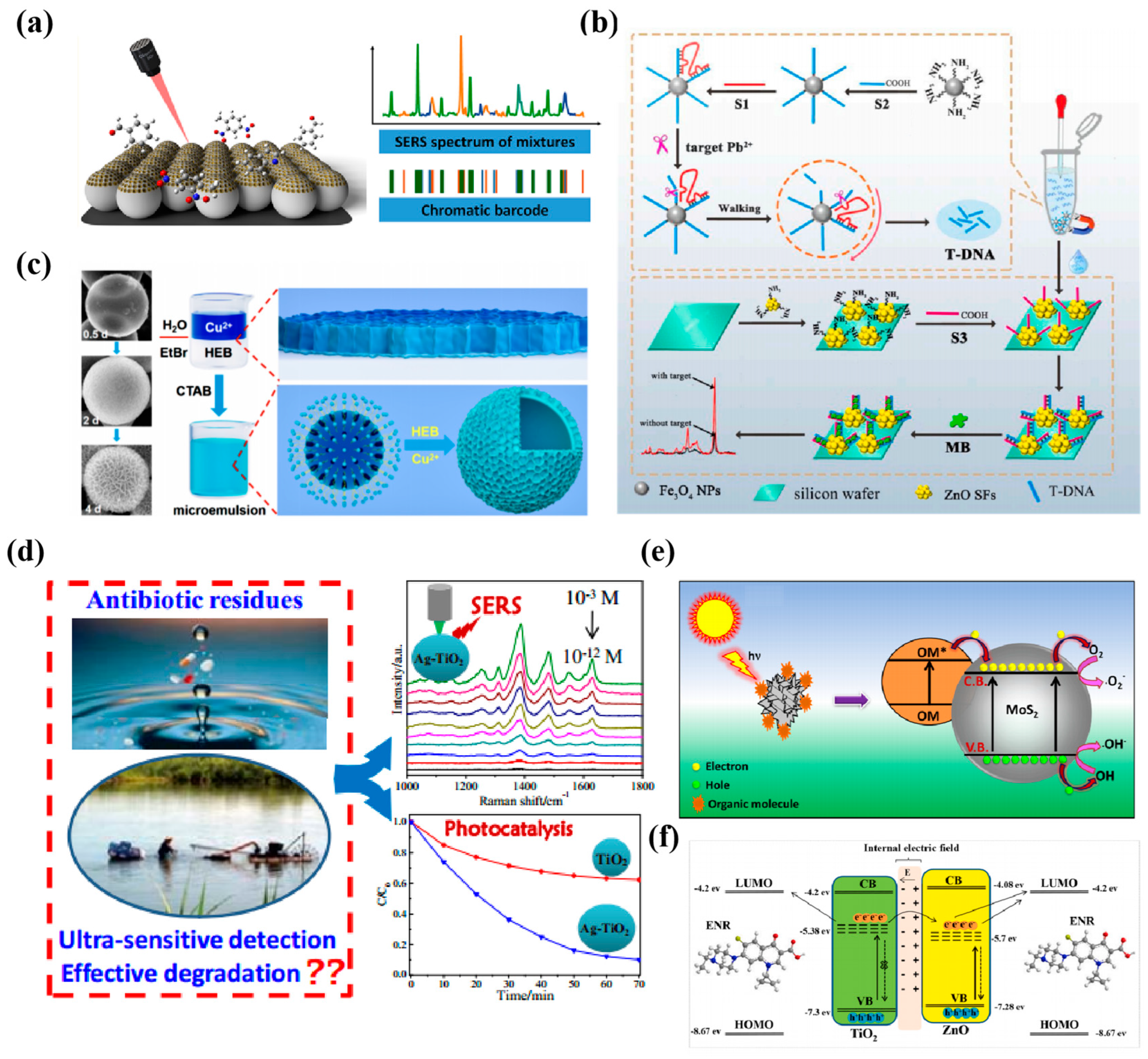 Nanomaterials 14 01654 g011