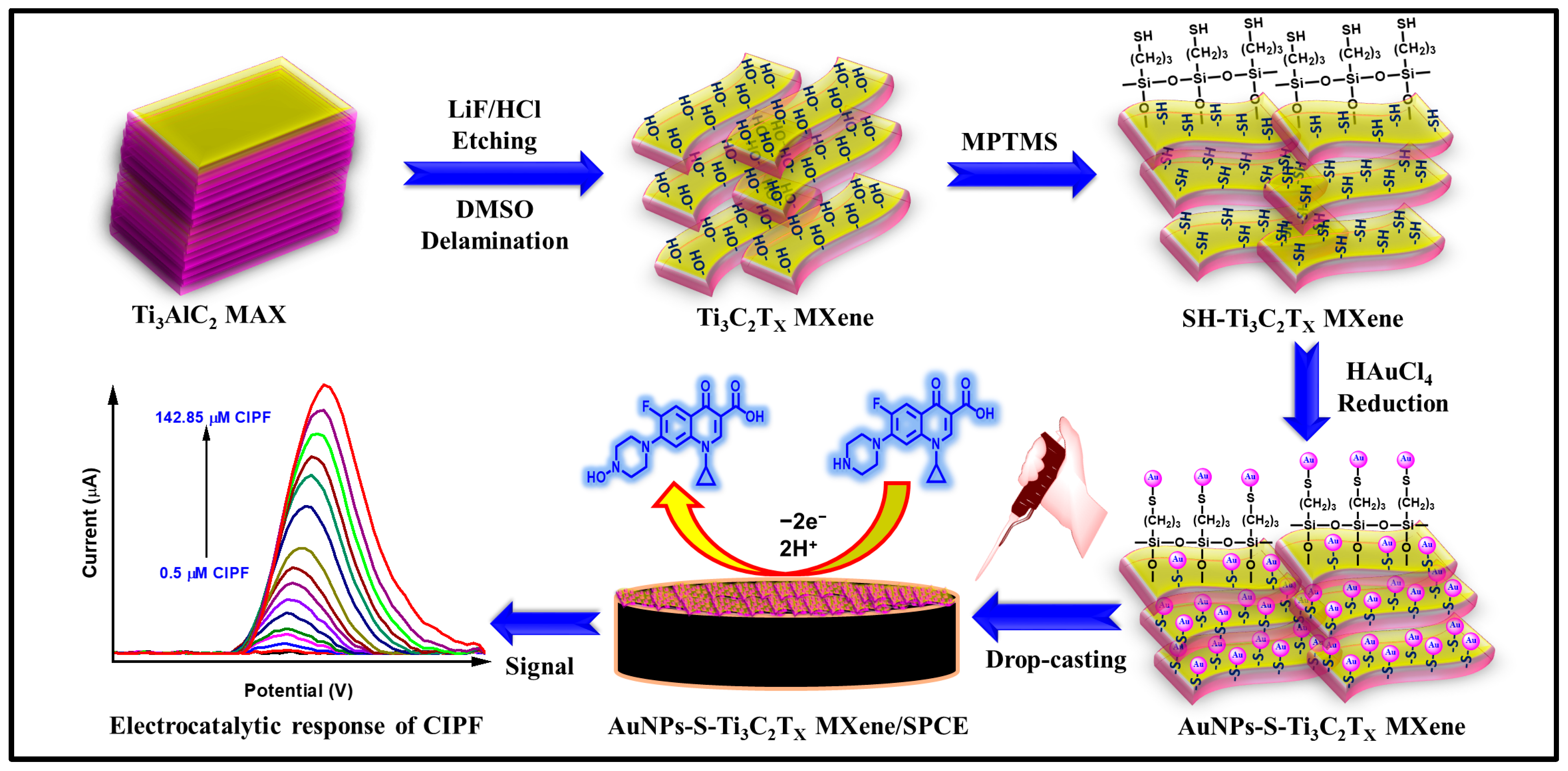 Nanomaterials 14 01655 g001