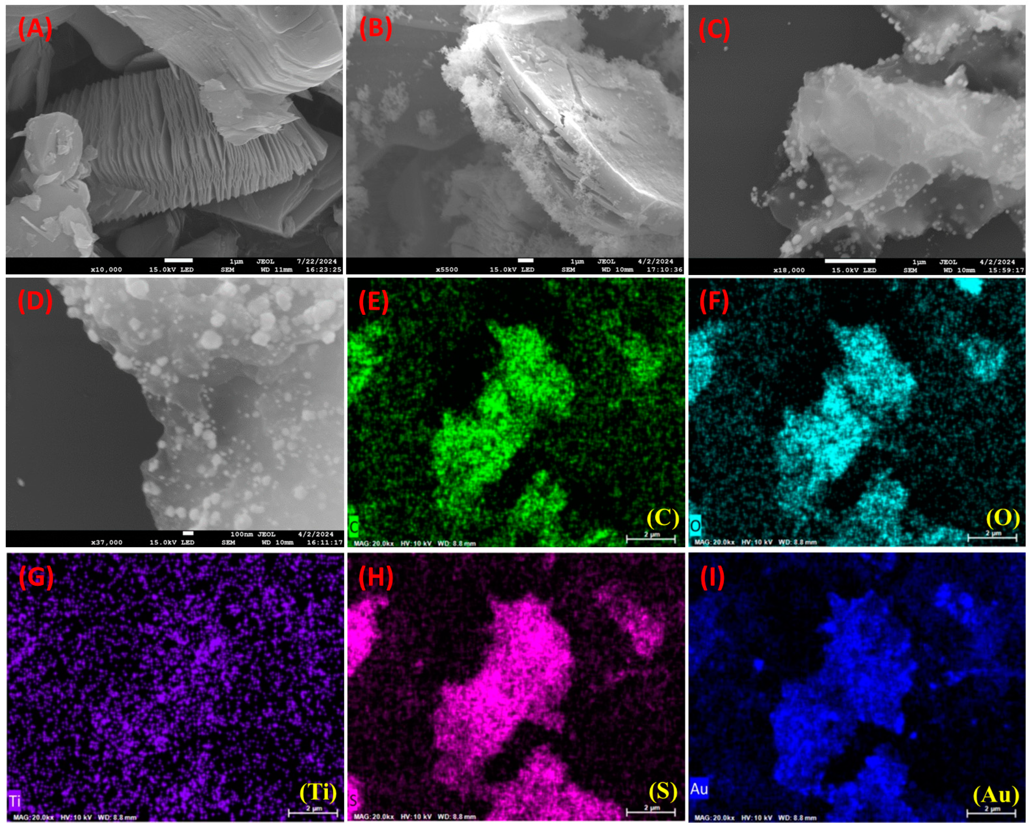 Nanomaterials 14 01655 g002