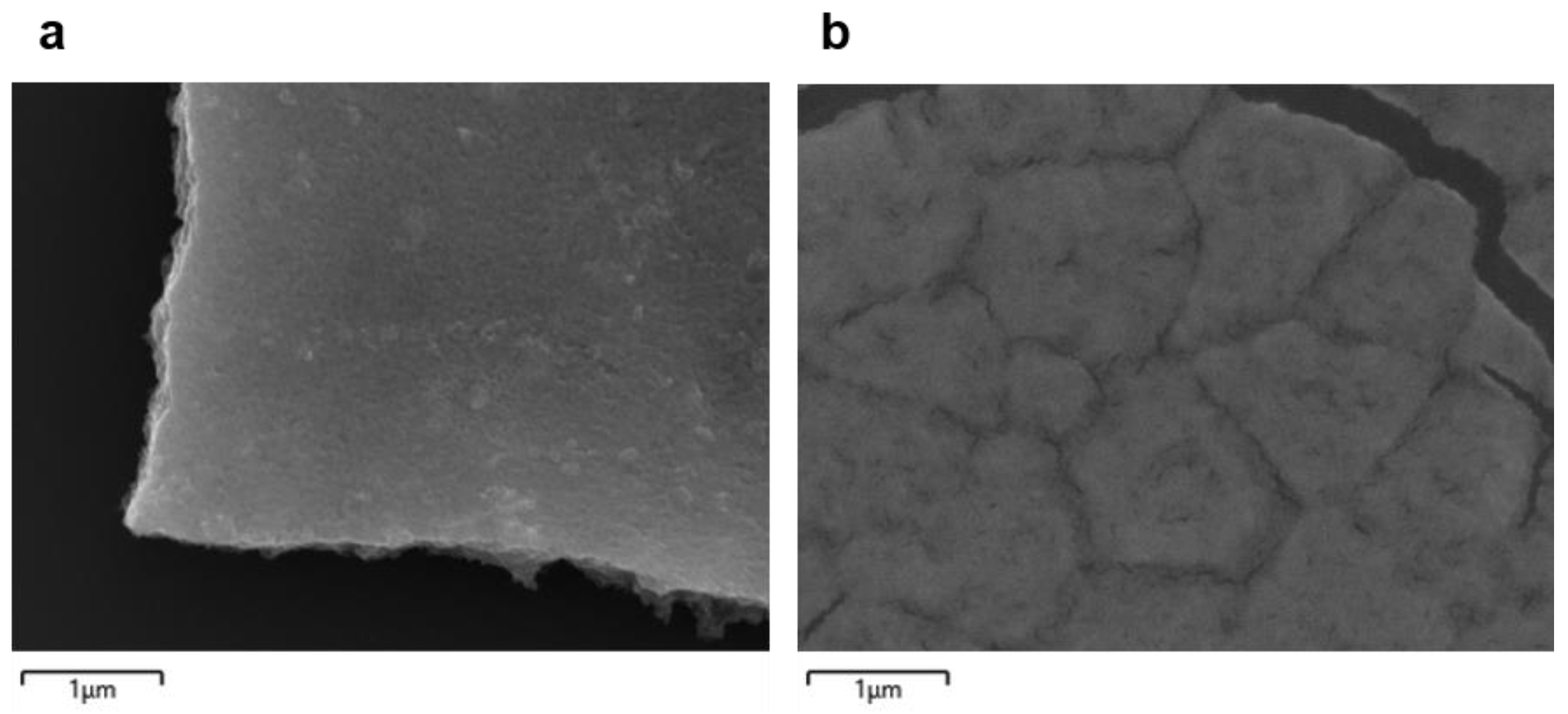Nanomaterials 14 01656 g002