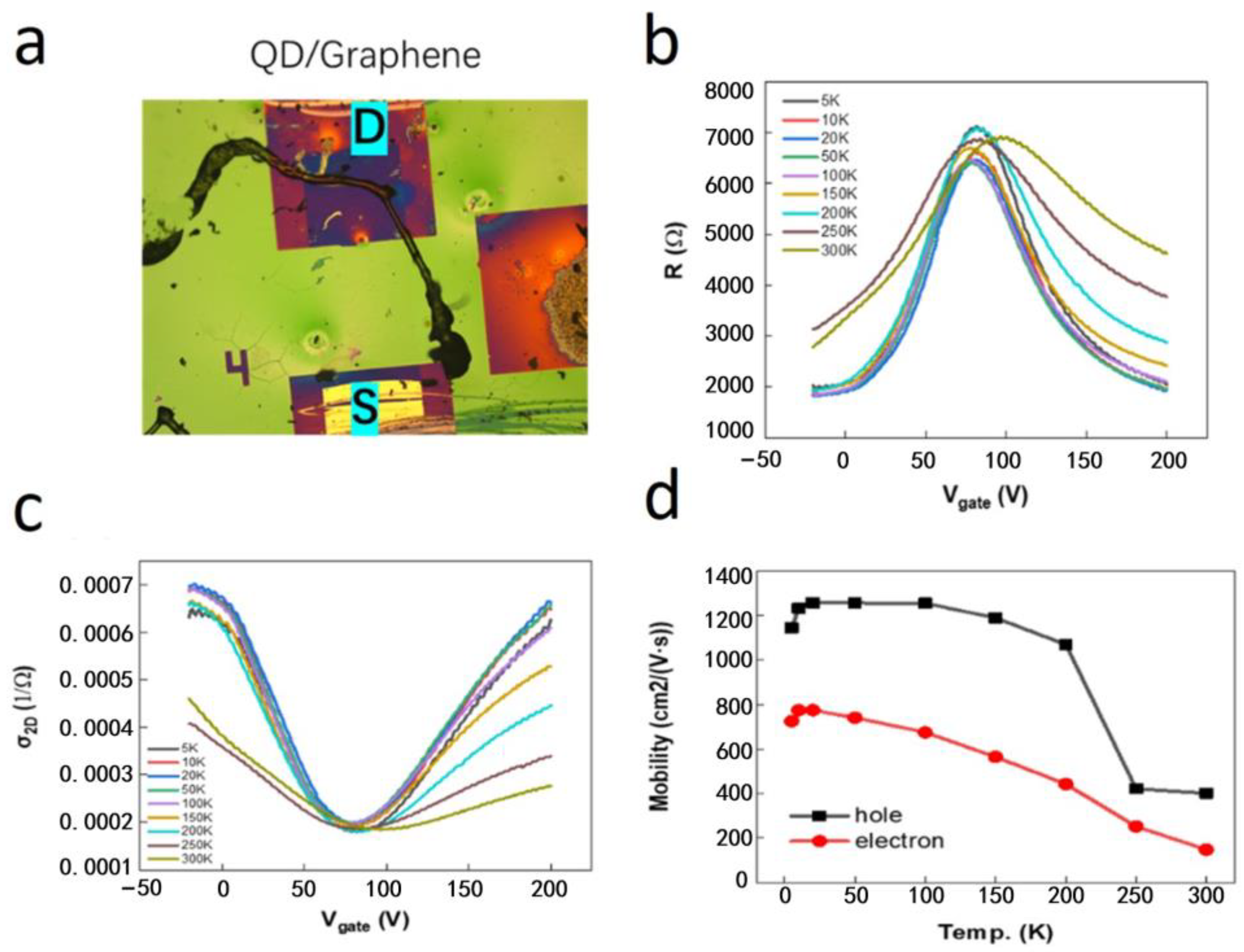 Nanomaterials 14 01656 g004