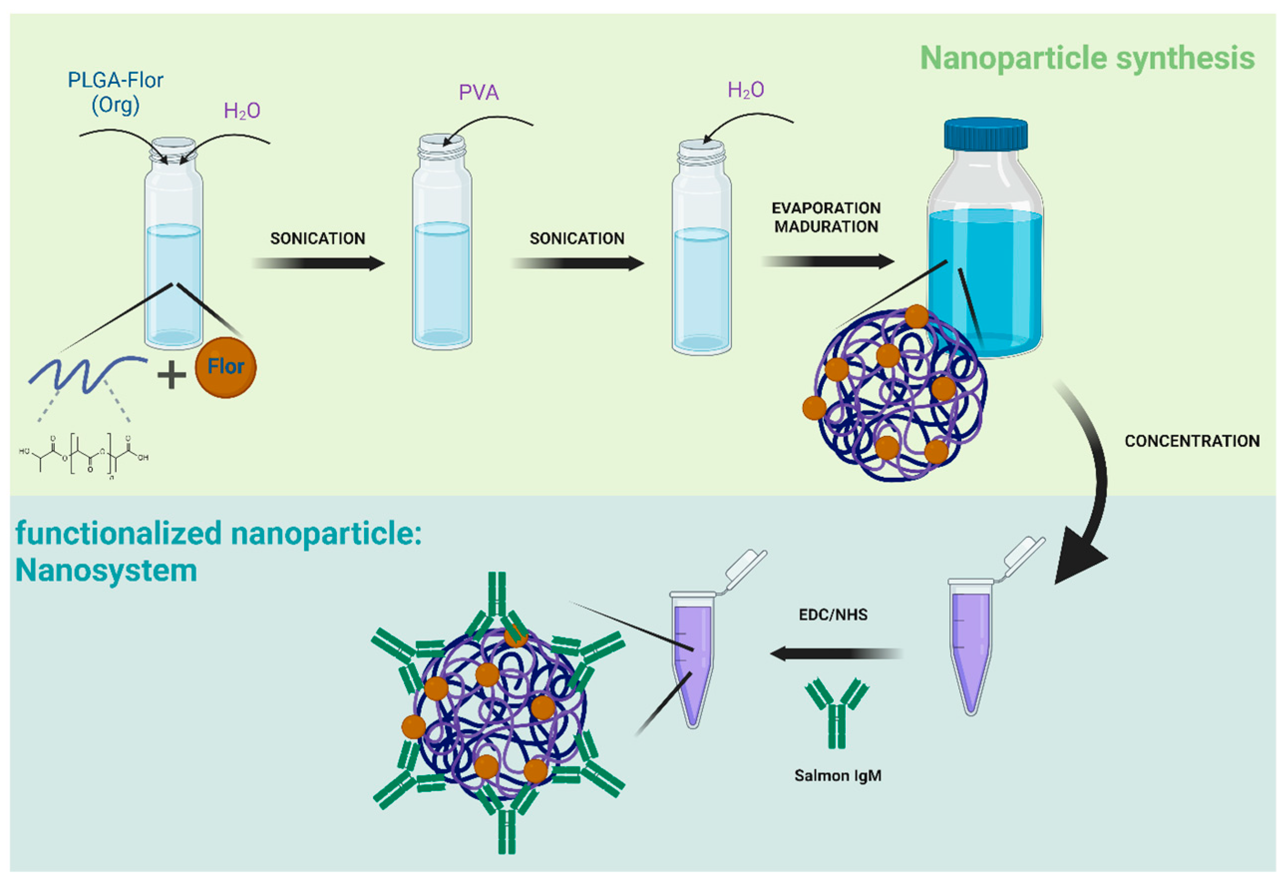 Nanomaterials 14 01658 g001 Nanomaterials 14 01658 g001