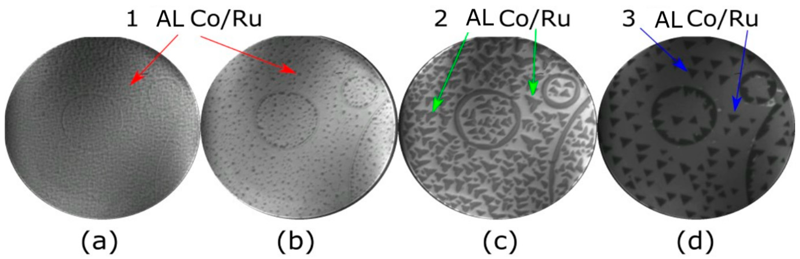 Nanomaterials 14 01662 g001