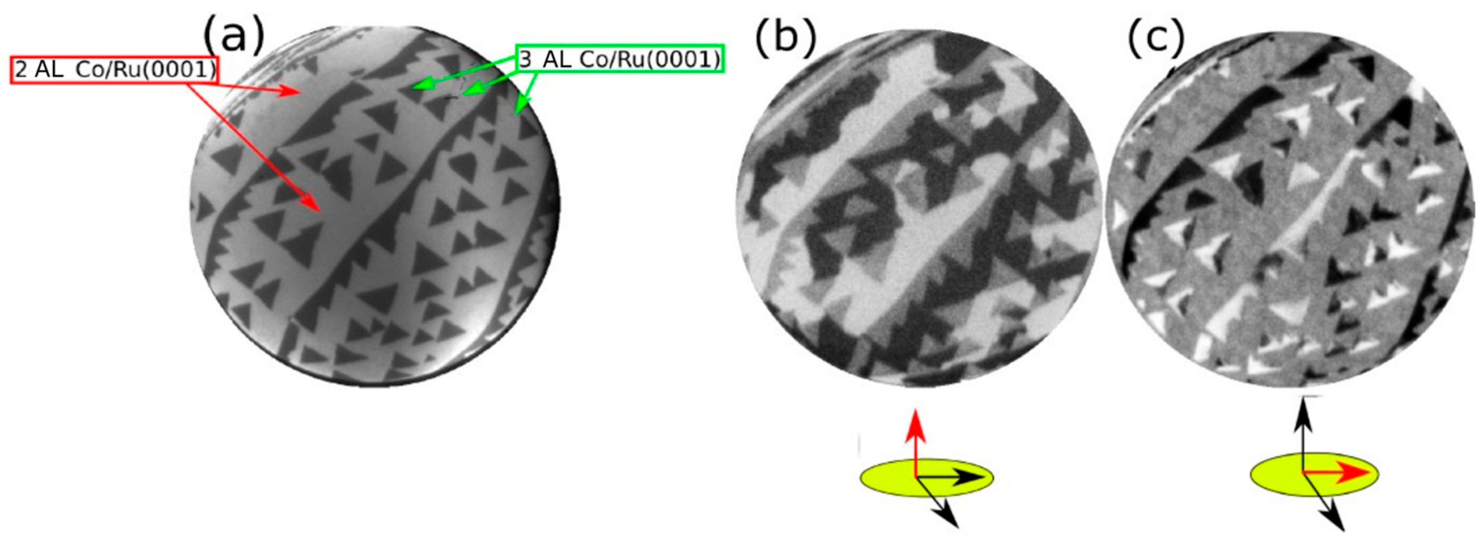 Nanomaterials 14 01662 g002