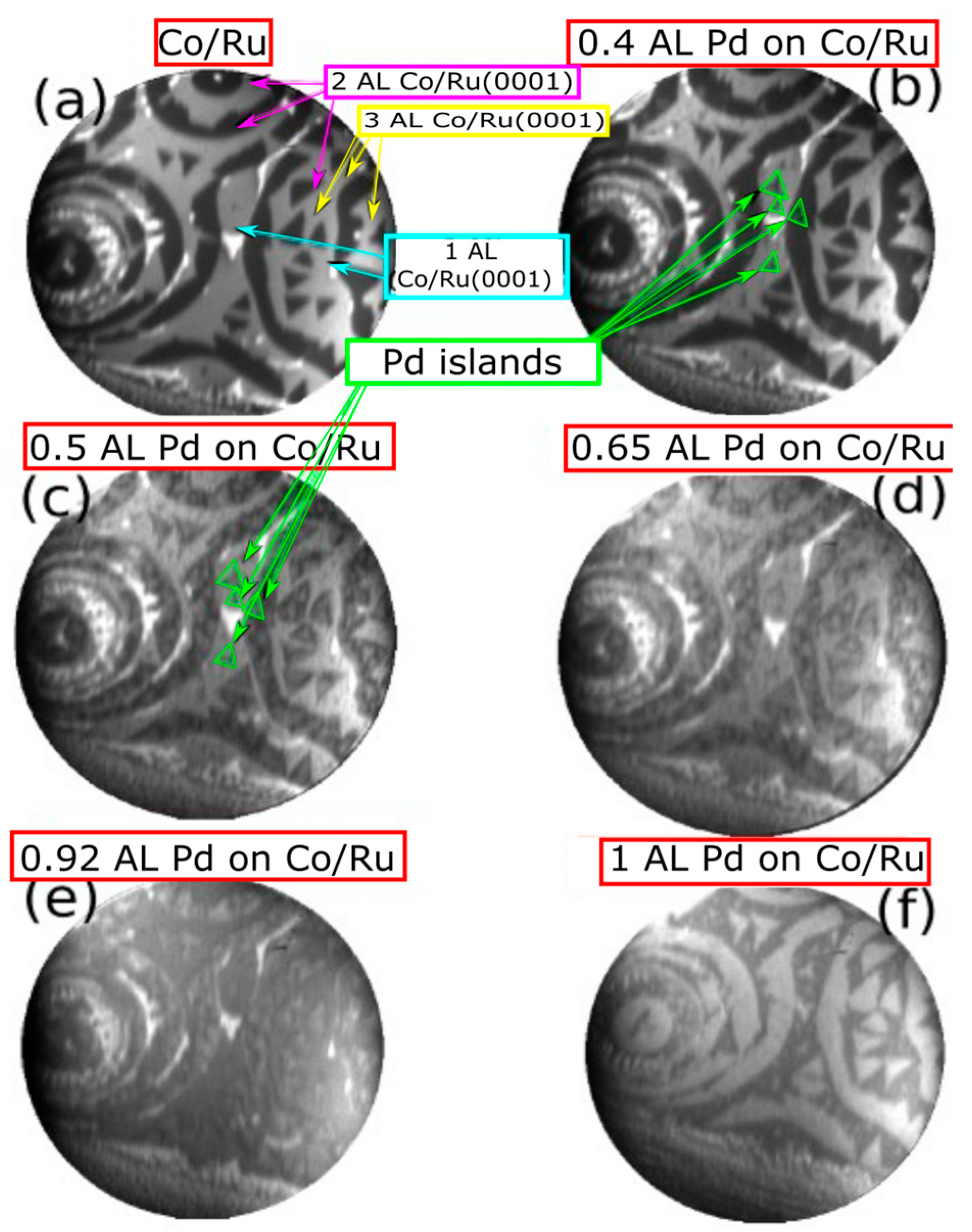 Nanomaterials 14 01662 g003
