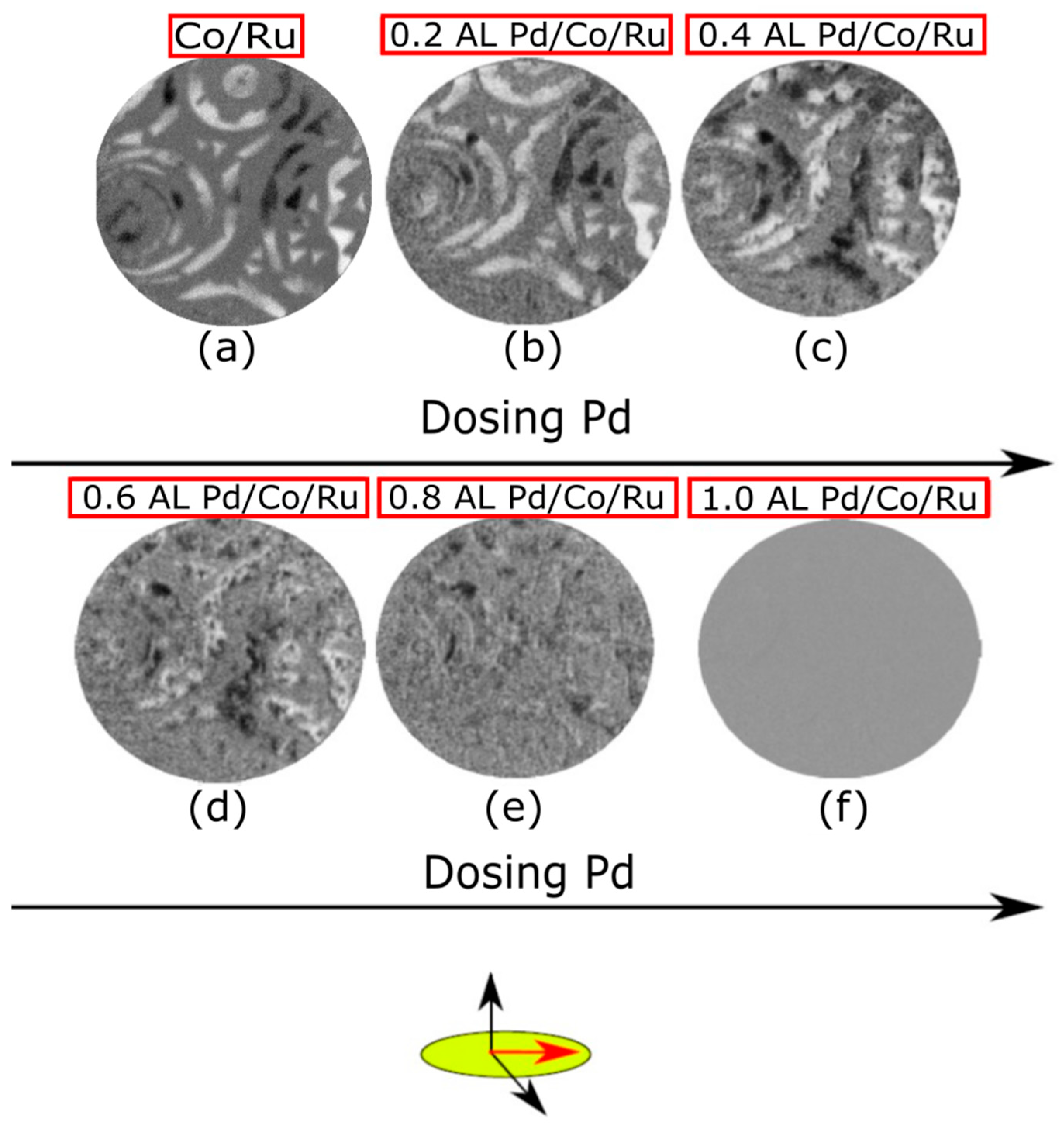 Nanomaterials 14 01662 g004