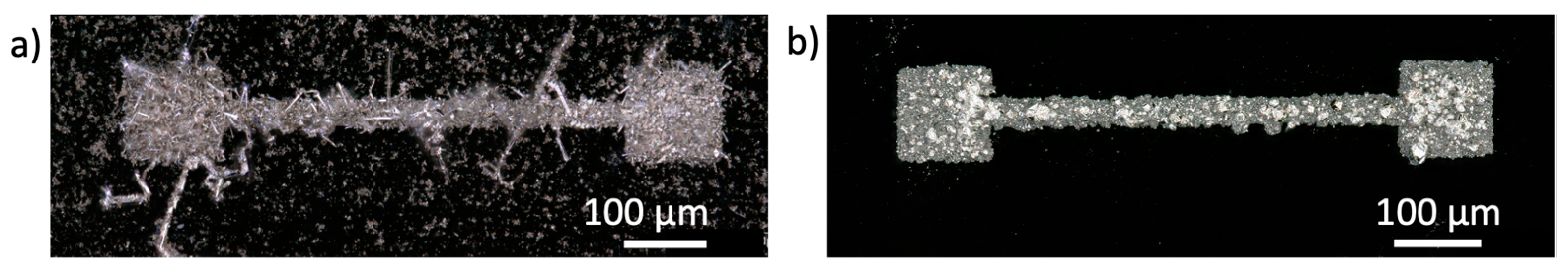 Nanomaterials 14 01665 g006