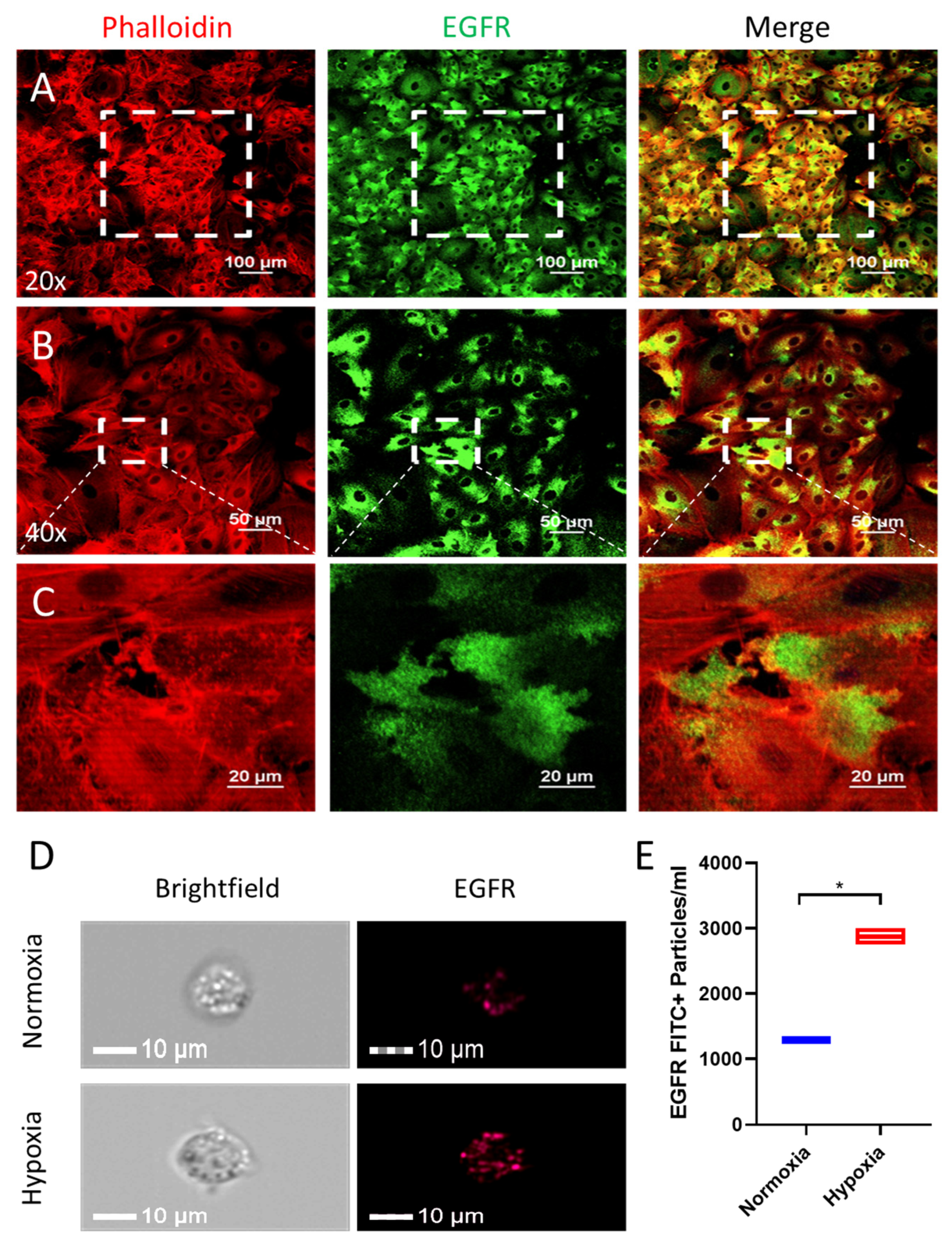 Nanomaterials 14 01669 g002