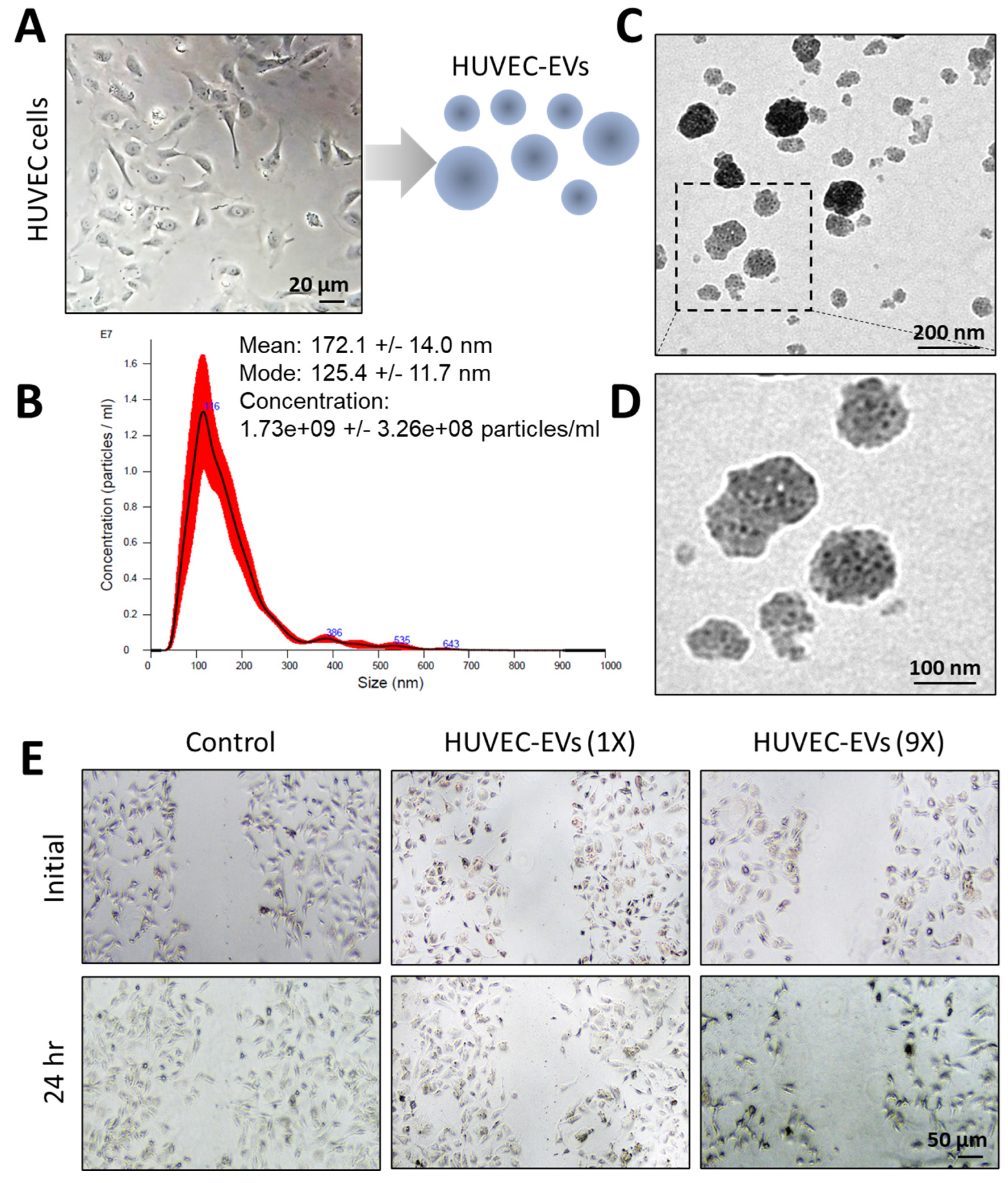Nanomaterials 14 01669 g003