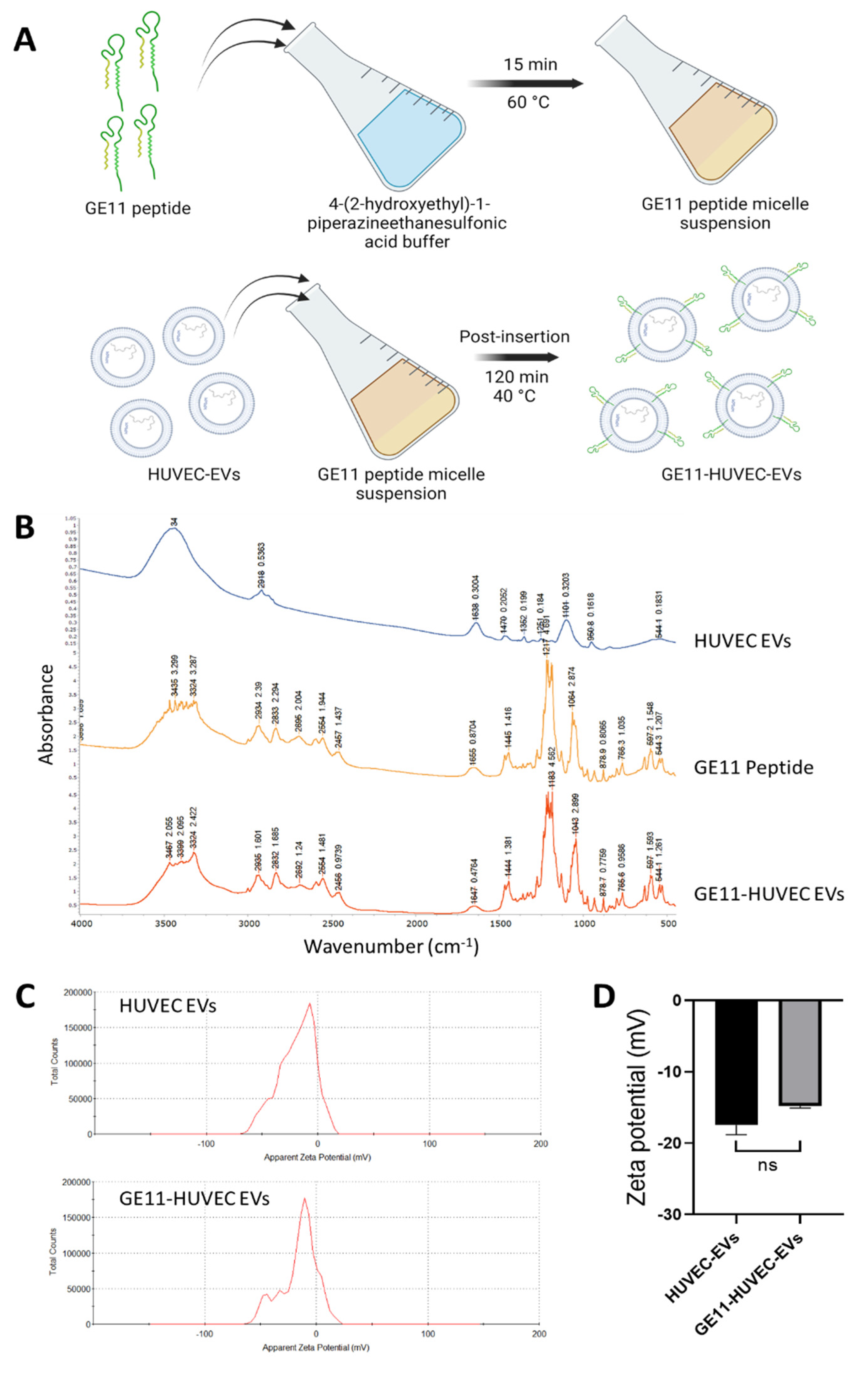 Nanomaterials 14 01669 g004