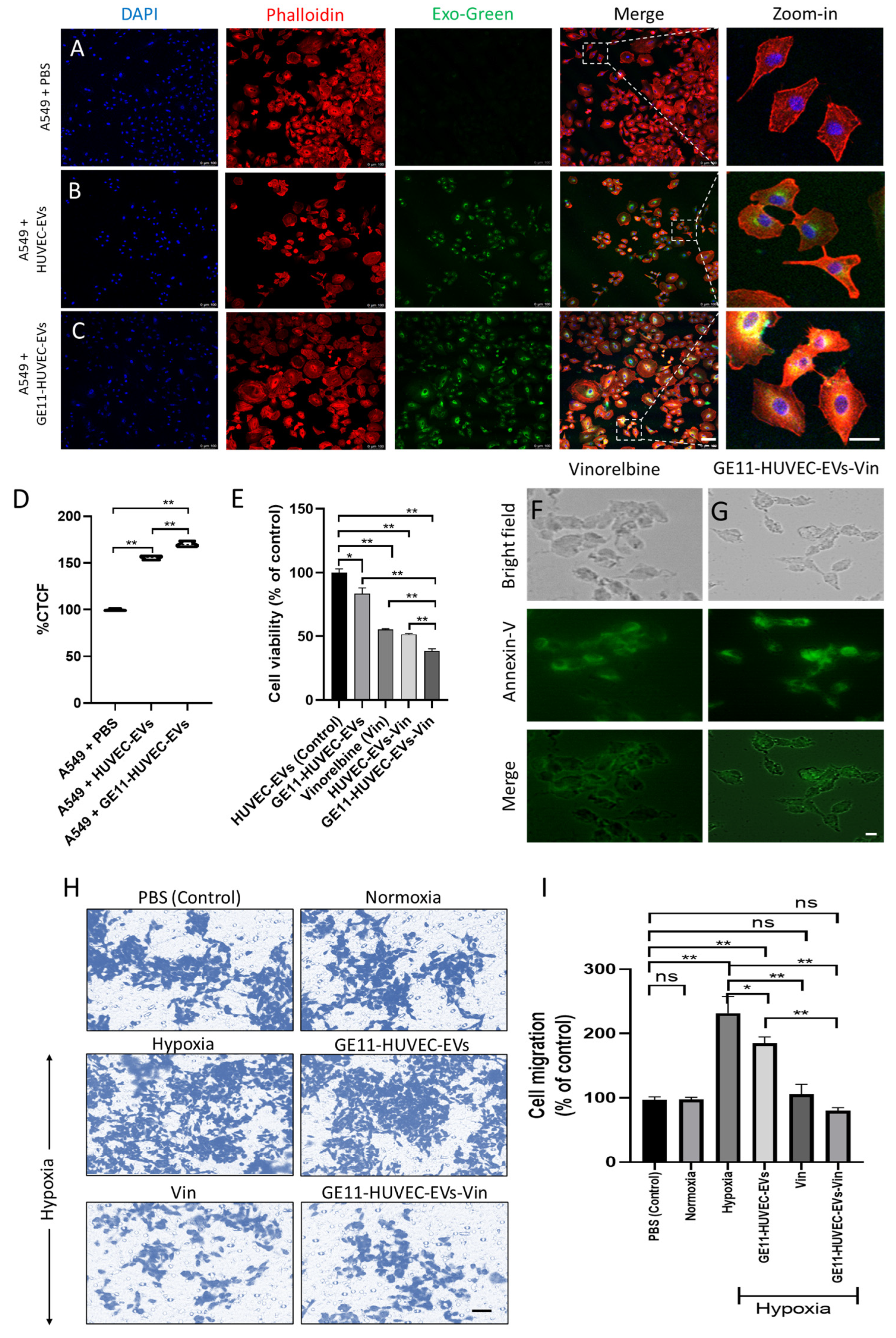 Nanomaterials 14 01669 g005
