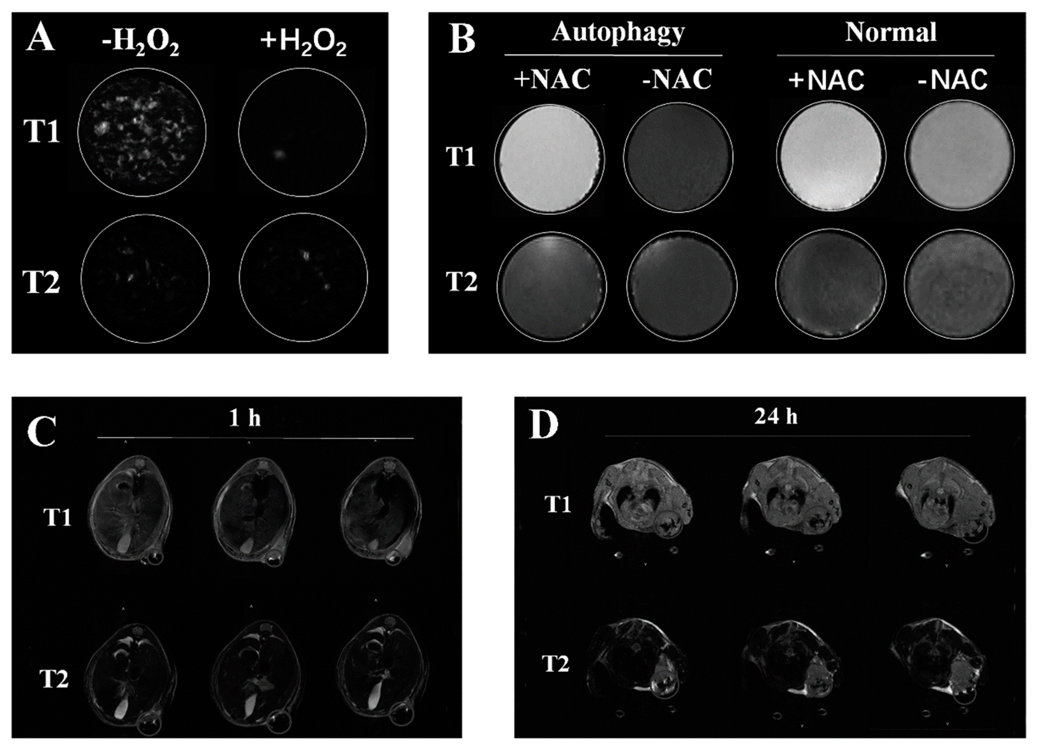 Nanomaterials 14 01673 g005