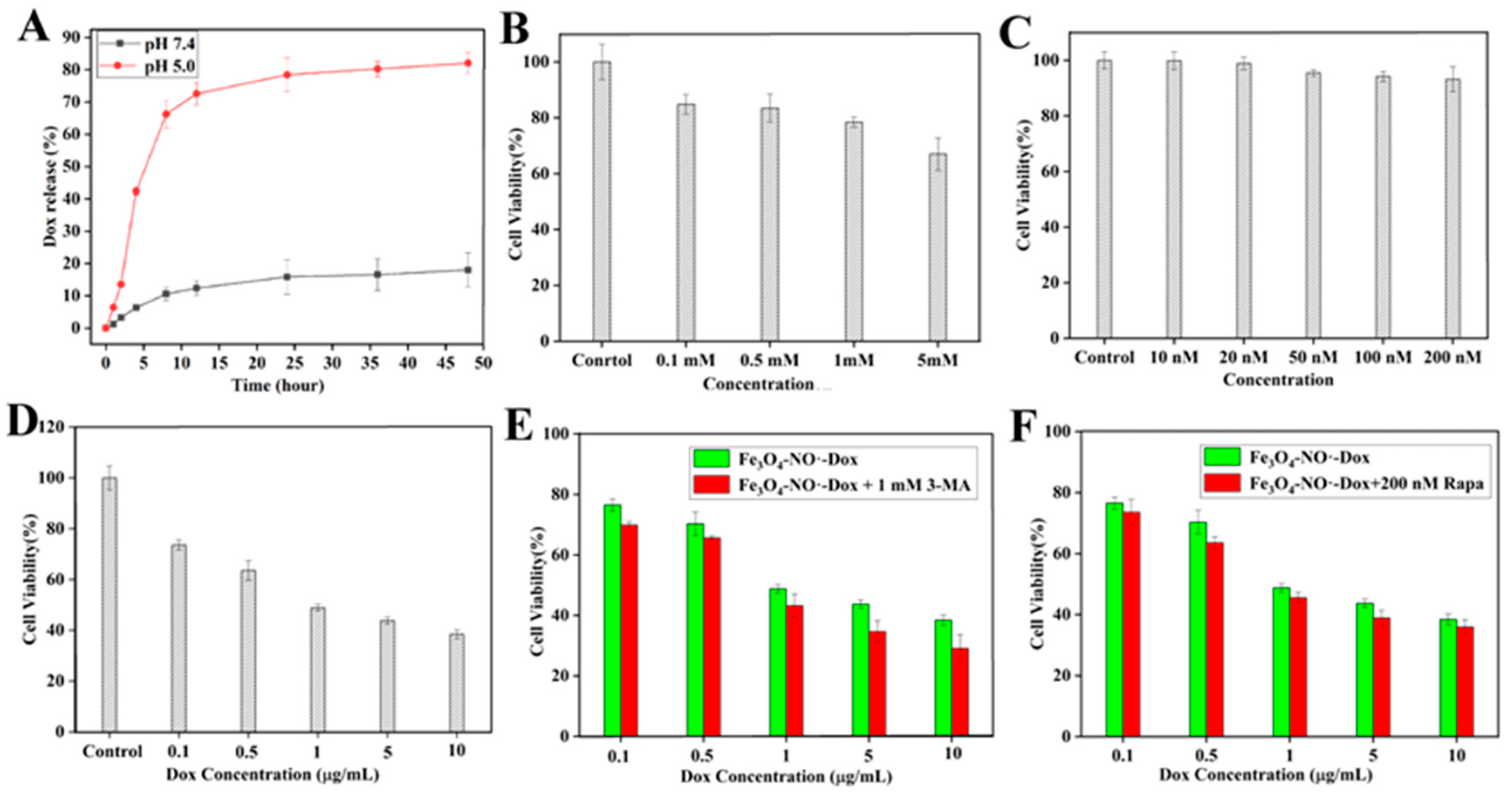 Nanomaterials 14 01673 g006