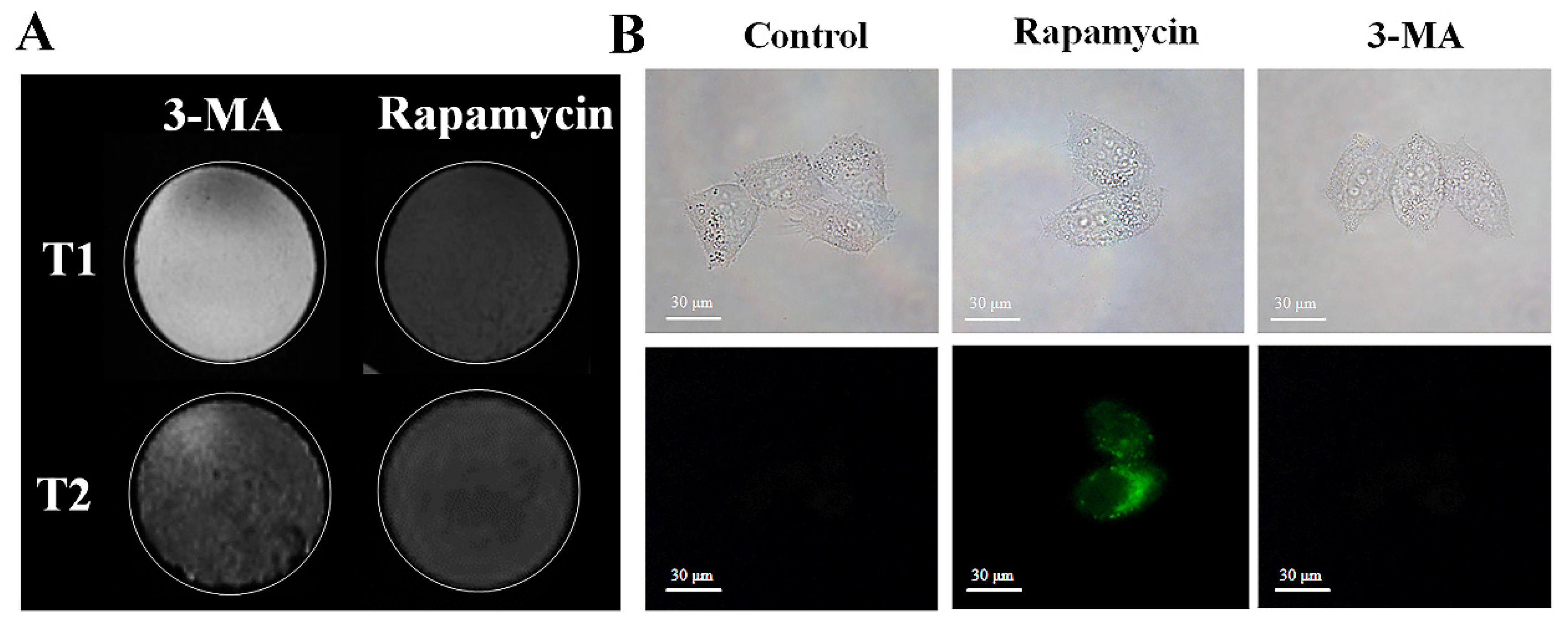 Nanomaterials 14 01673 g007