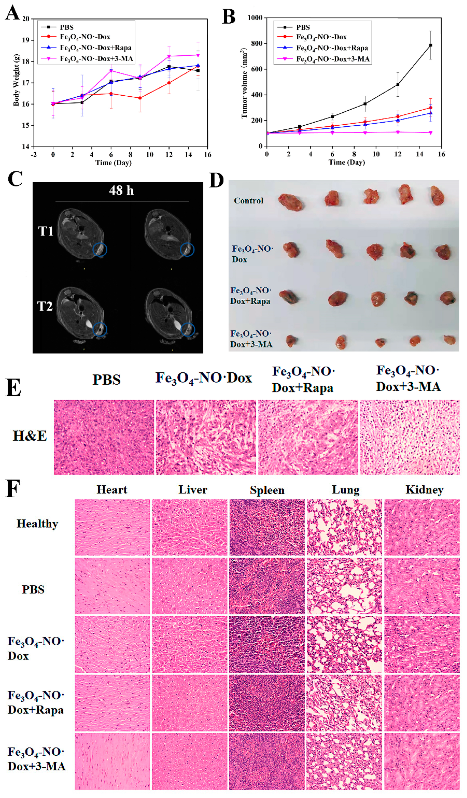 Nanomaterials 14 01673 g008