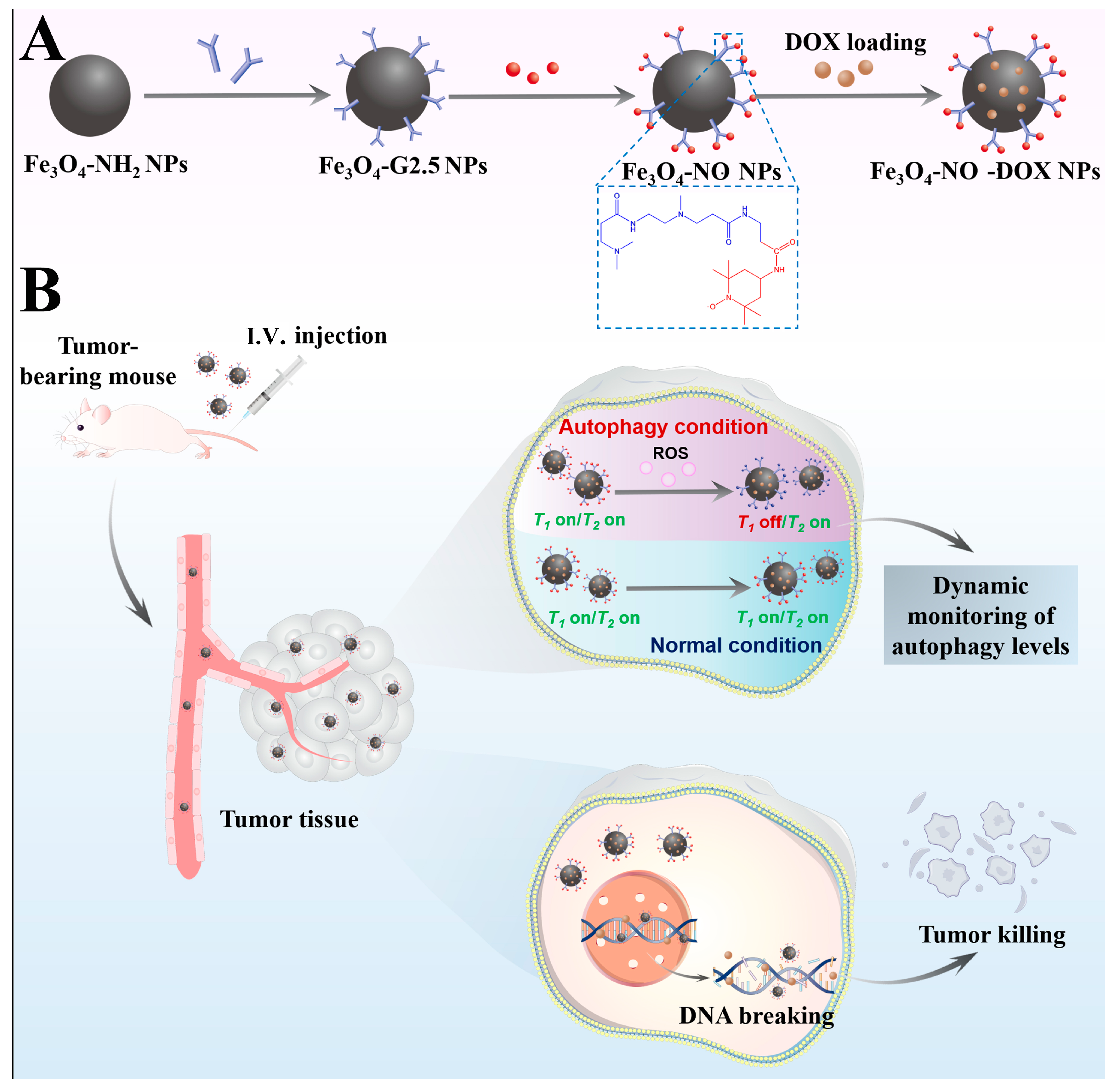 Nanomaterials 14 01673 sch001
