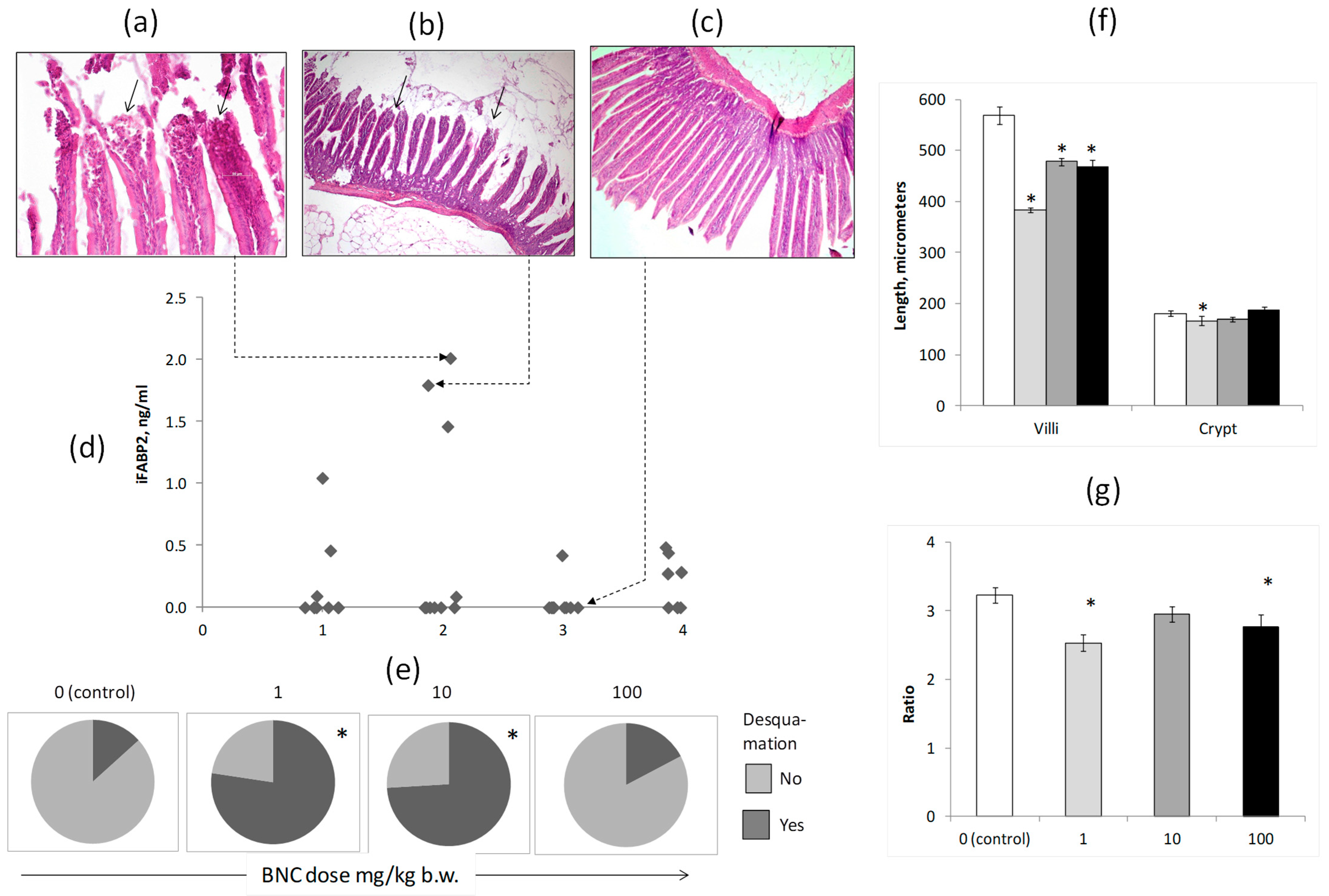 Nanomaterials 14 01678 g003