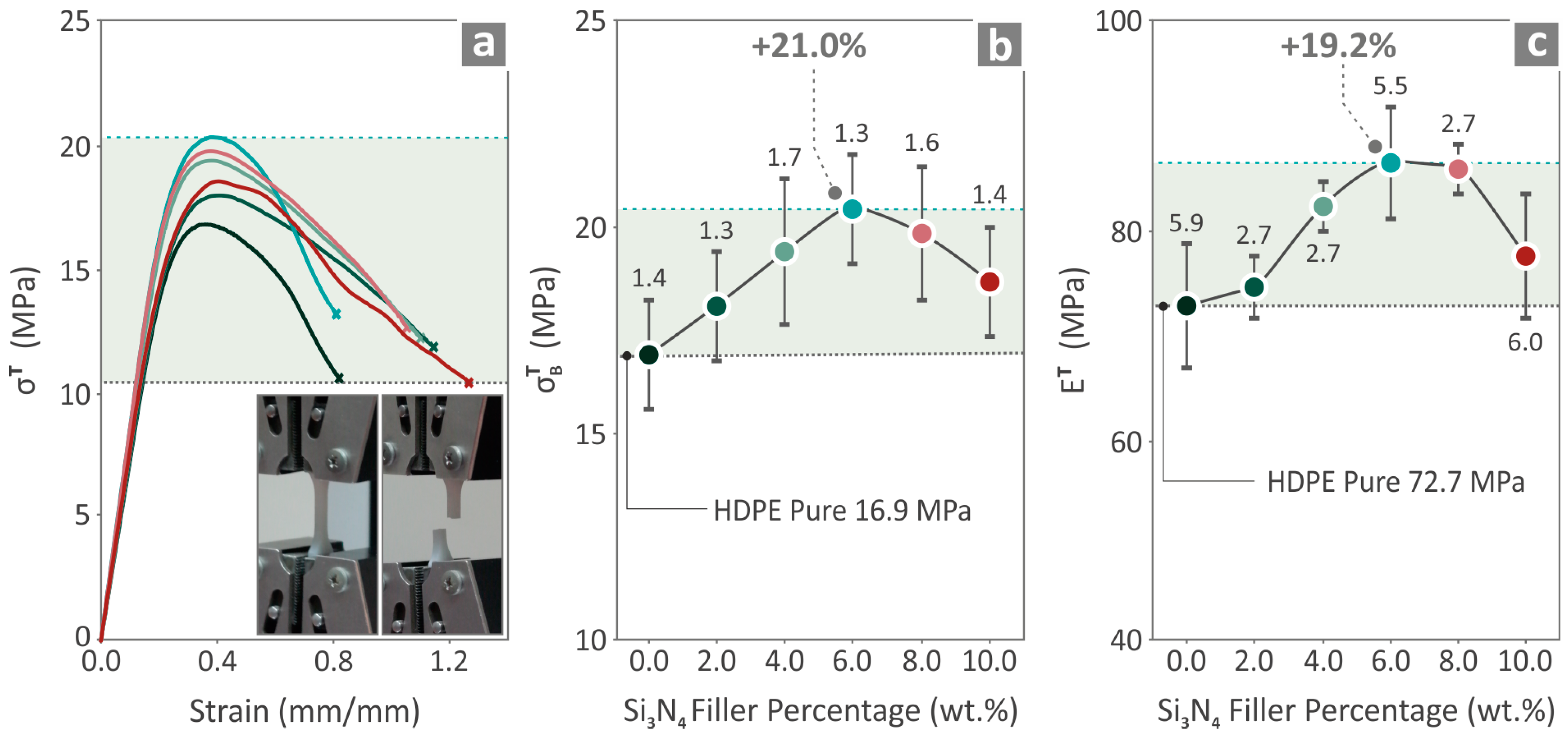 Nanomaterials 14 01680 g007