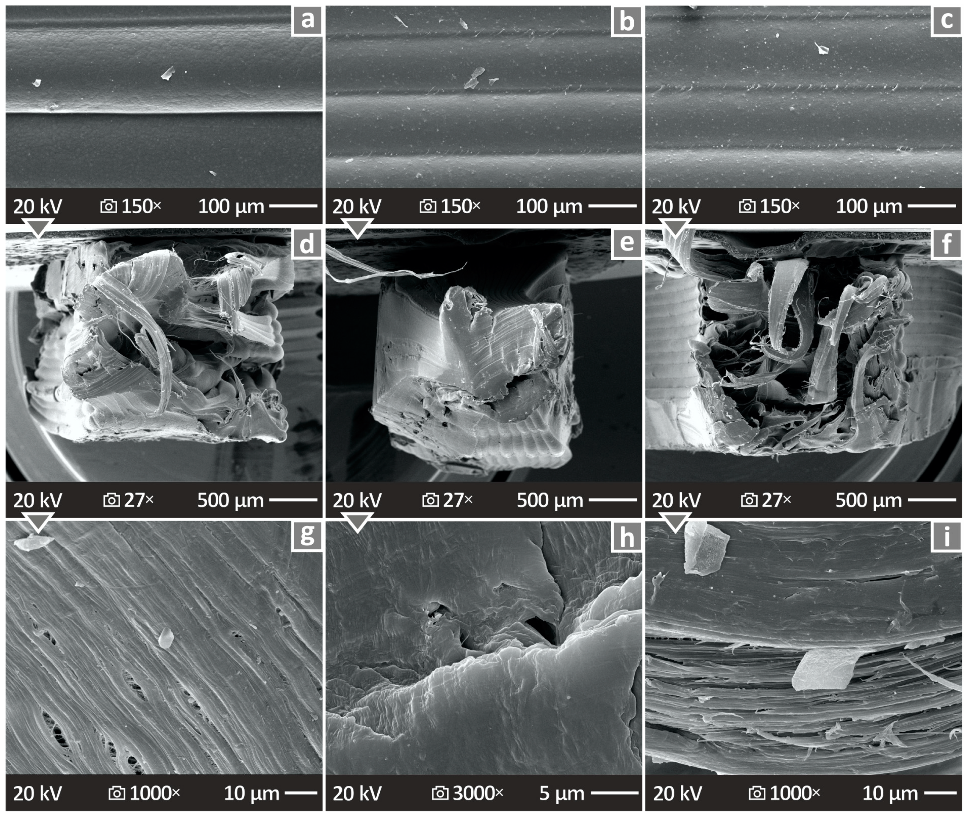 Nanomaterials 14 01680 g012