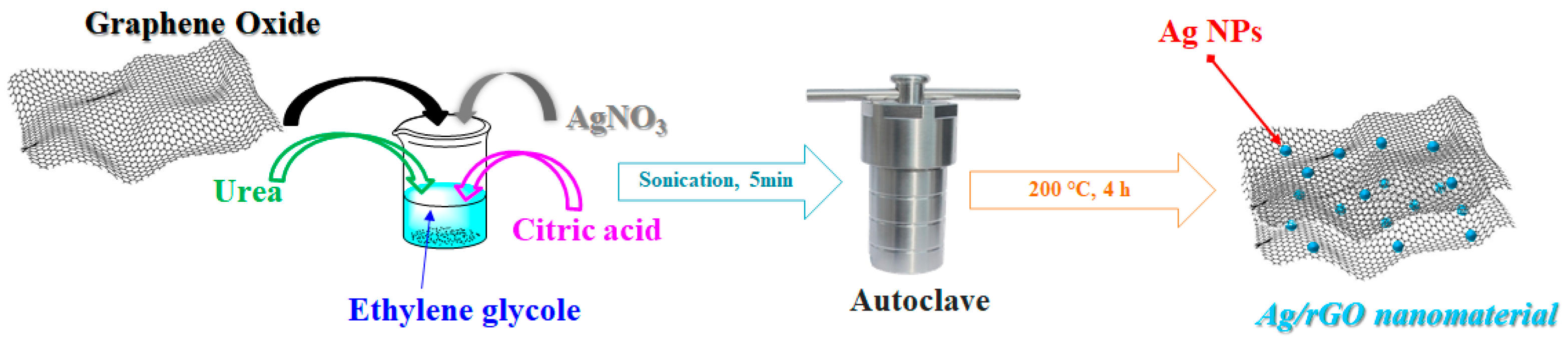 Nanomaterials 14 01681 g001