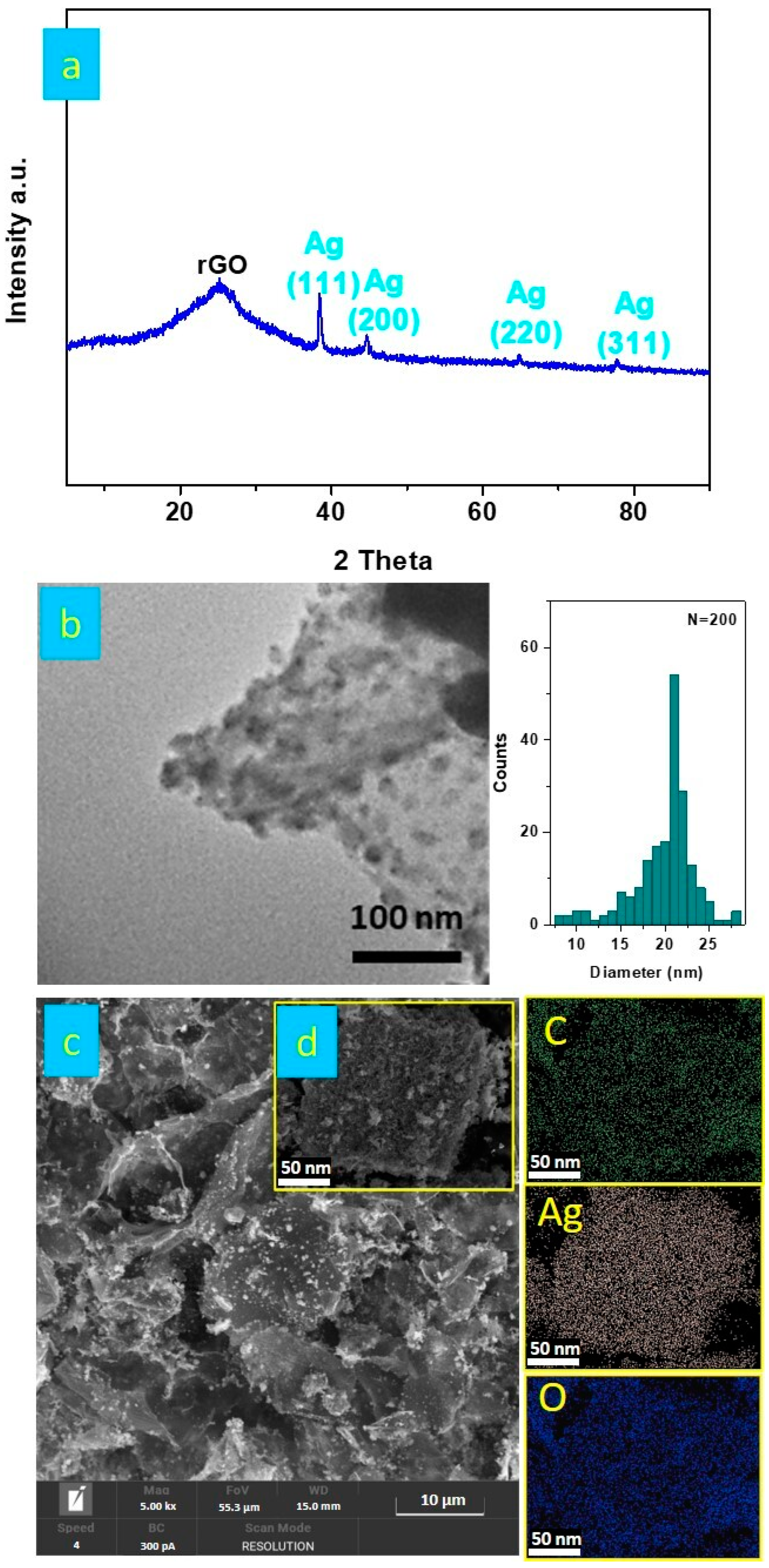 Nanomaterials 14 01681 g002