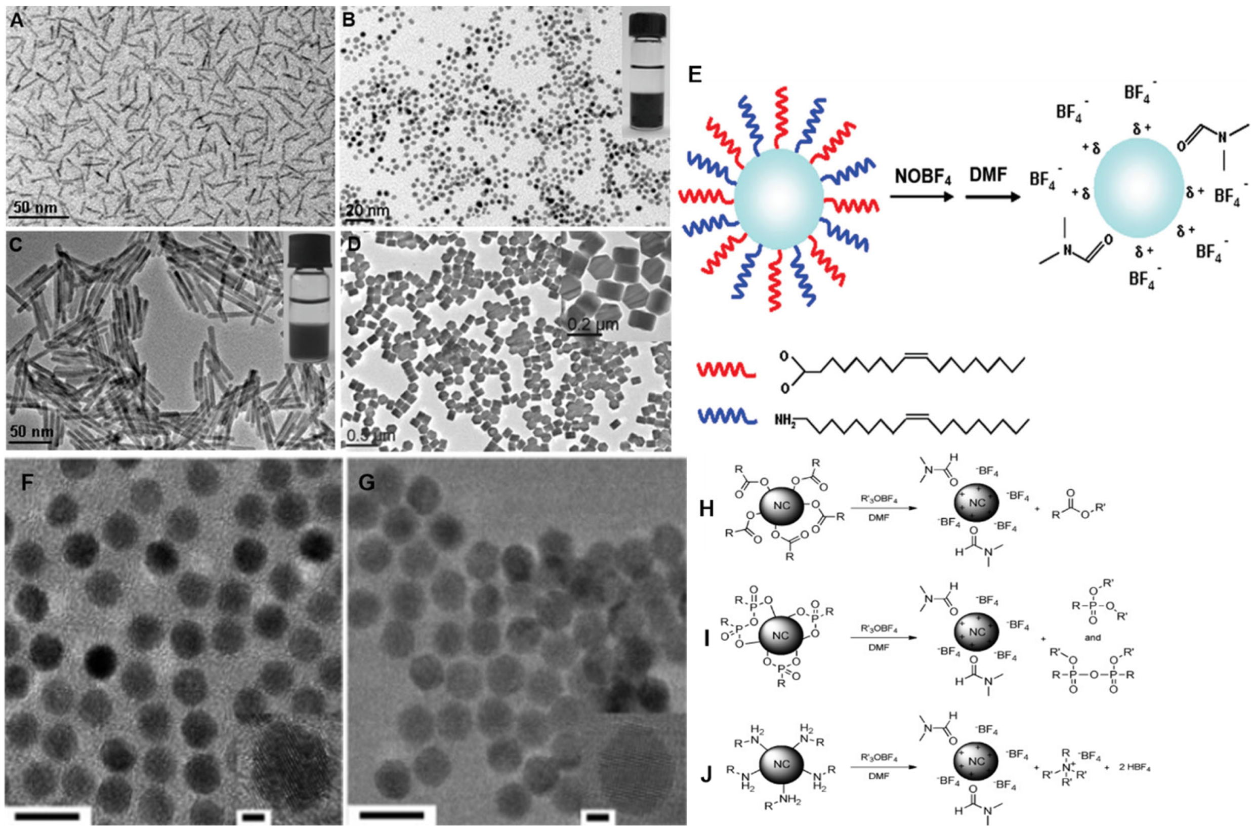 Nanomaterials 14 01685 g003 Nanomaterials 14 01685 g003