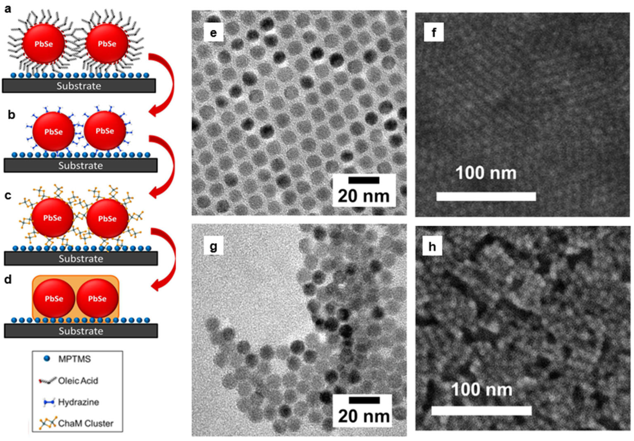 Nanomaterials 14 01685 g007 Nanomaterials 14 01685 g007