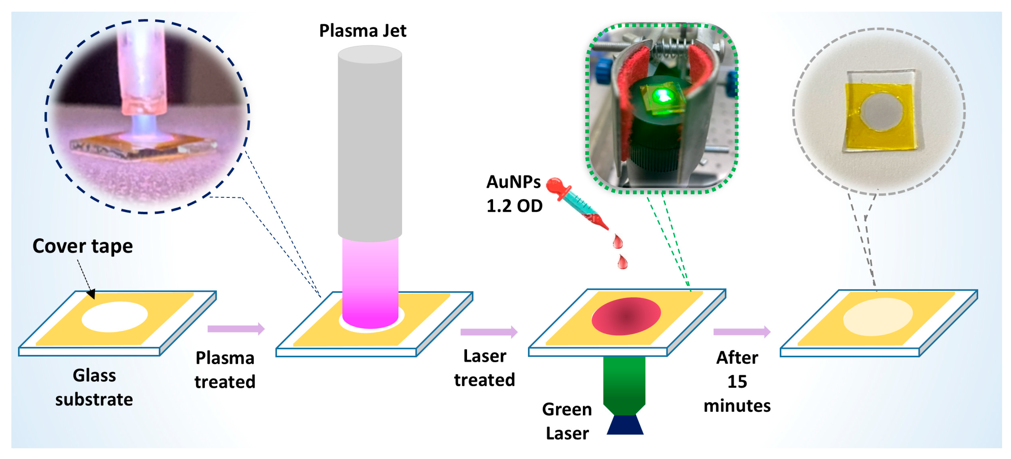 Nanomaterials 14 01689 g001