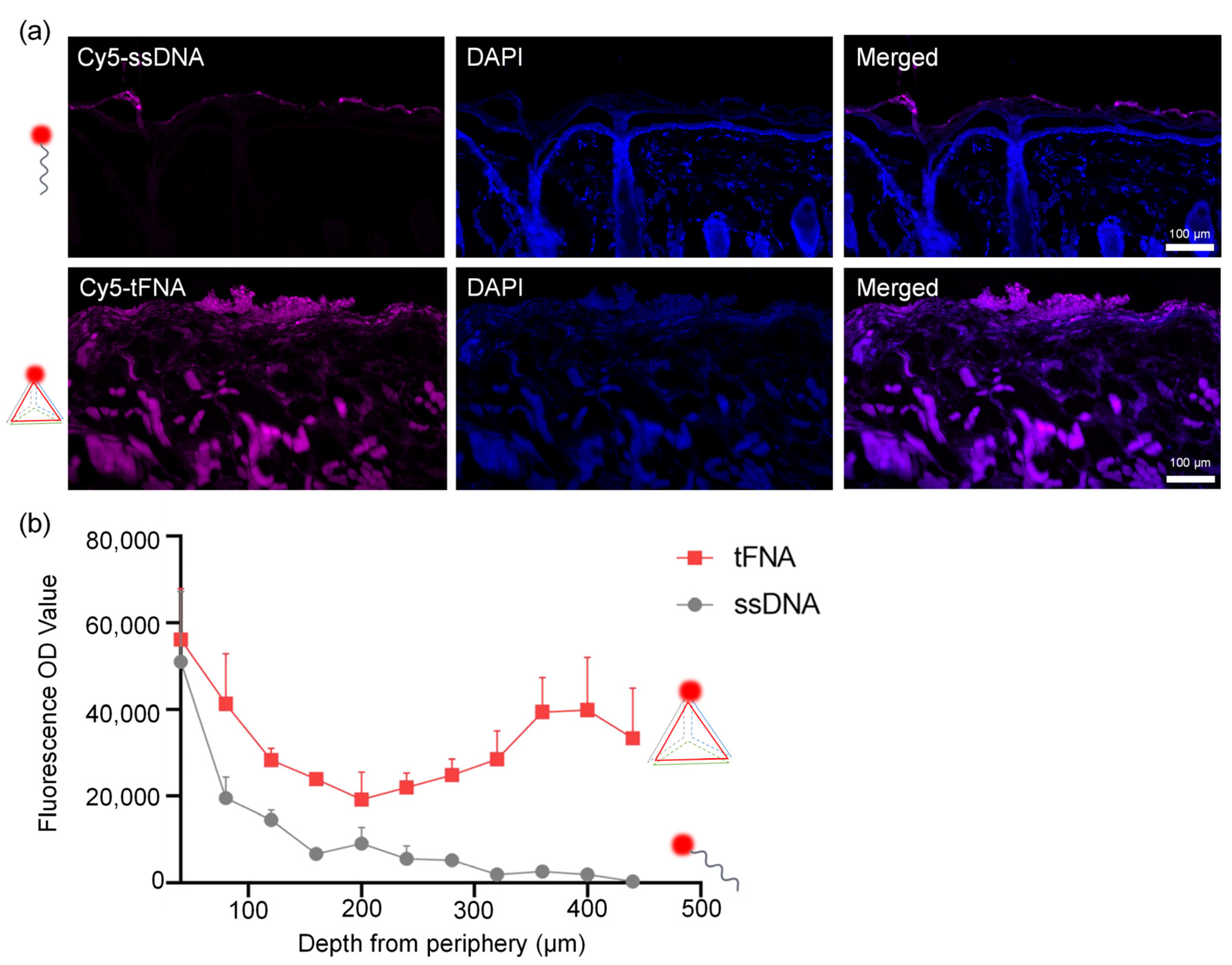 Nanomaterials 14 01693 g004