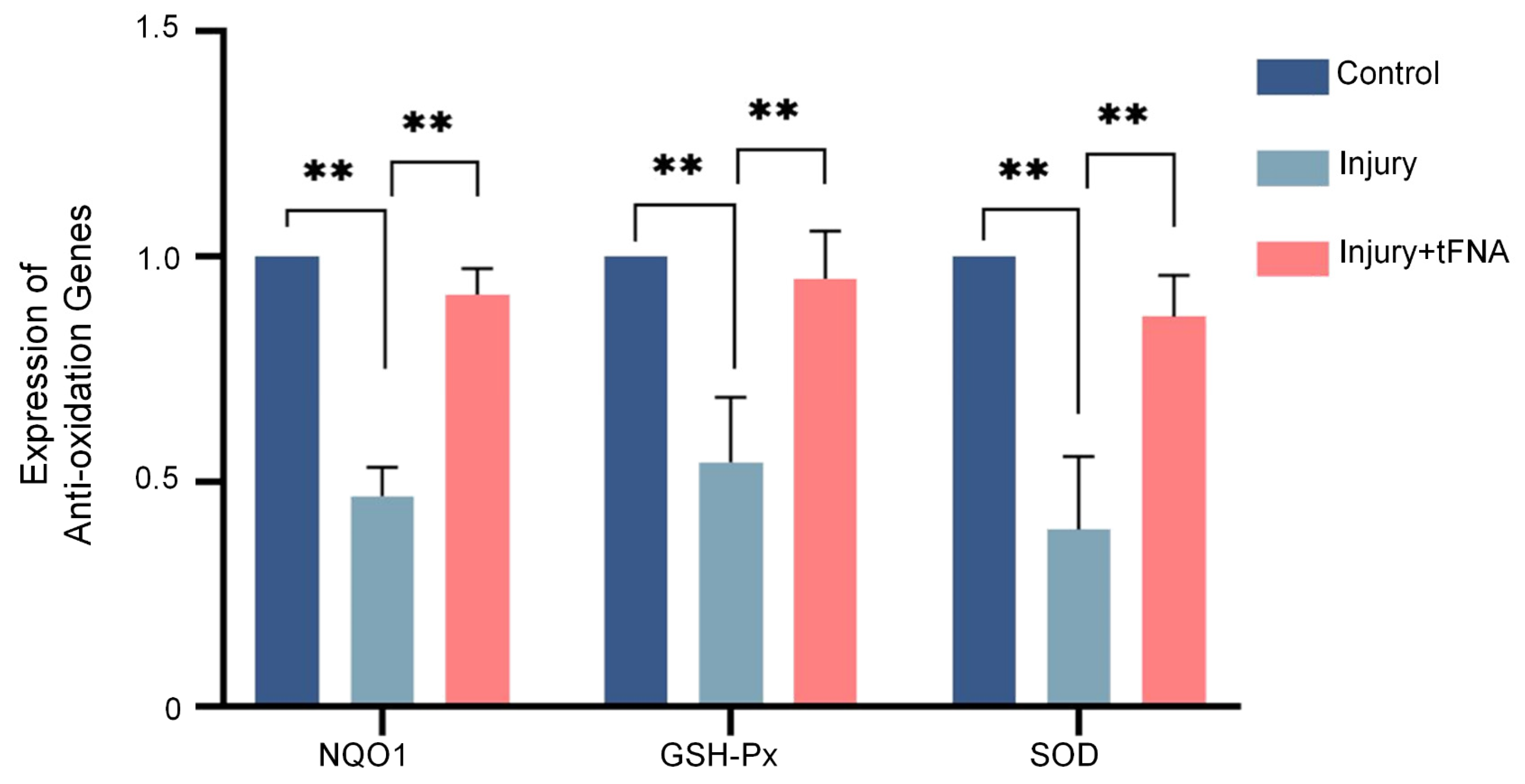 Nanomaterials 14 01693 g007