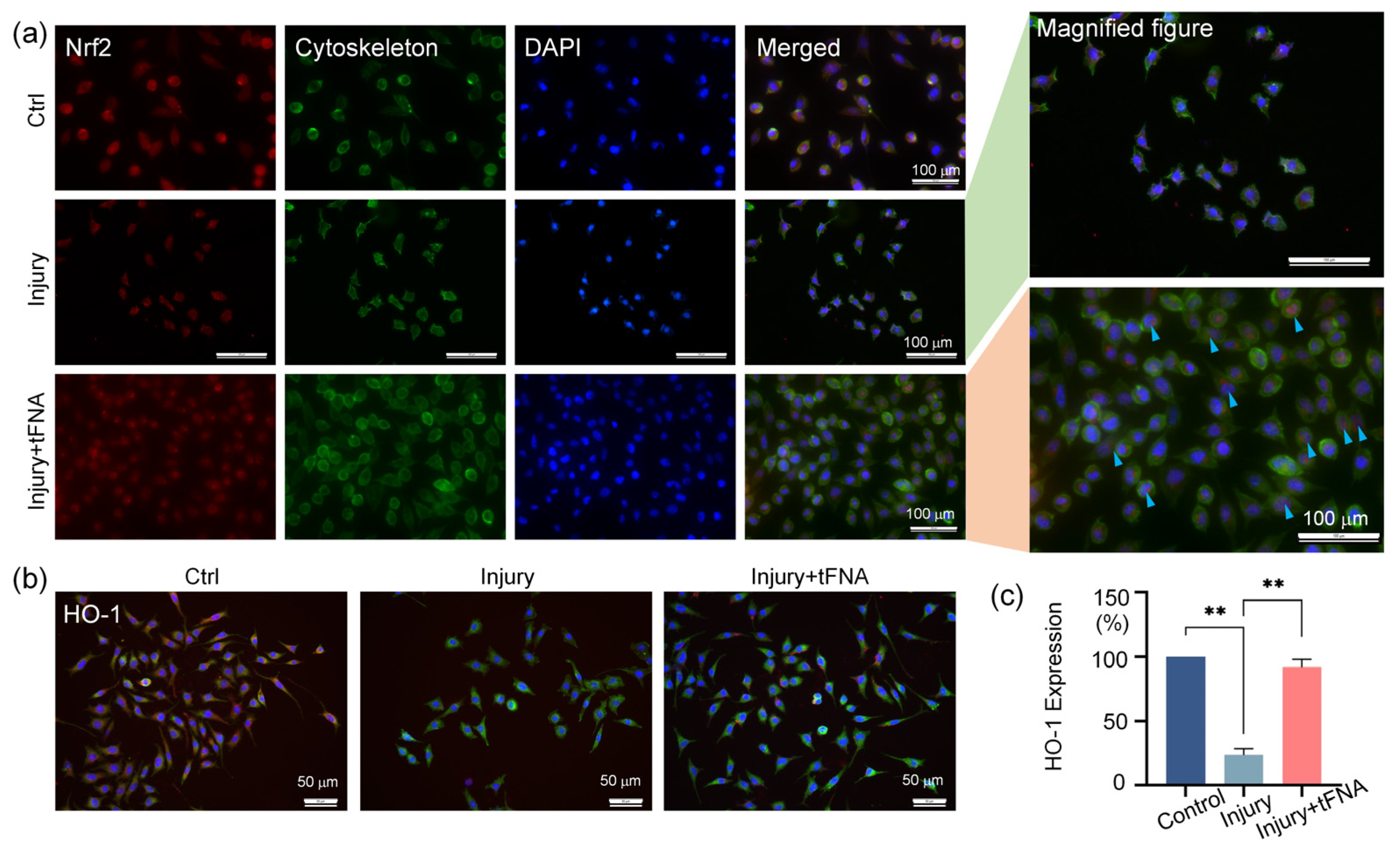 Nanomaterials 14 01693 g008
