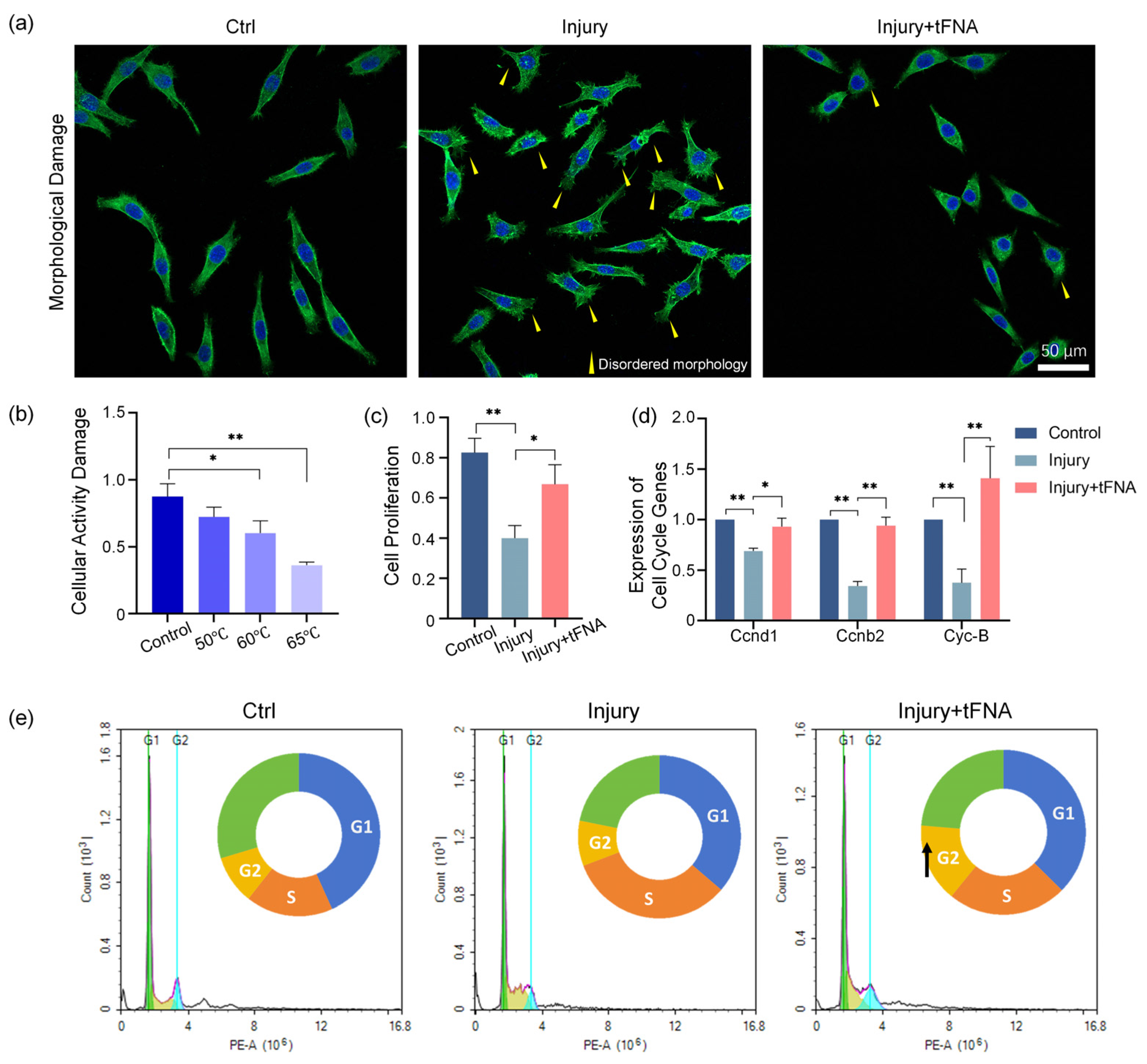 Nanomaterials 14 01693 g010