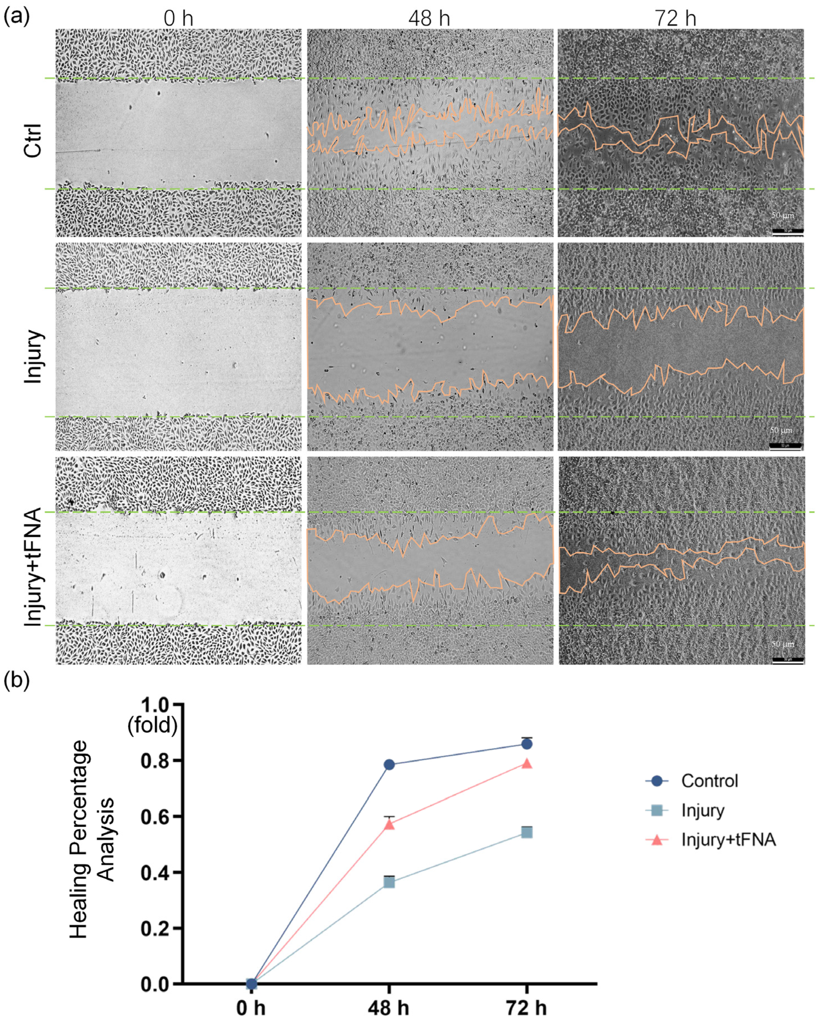 Nanomaterials 14 01693 g011