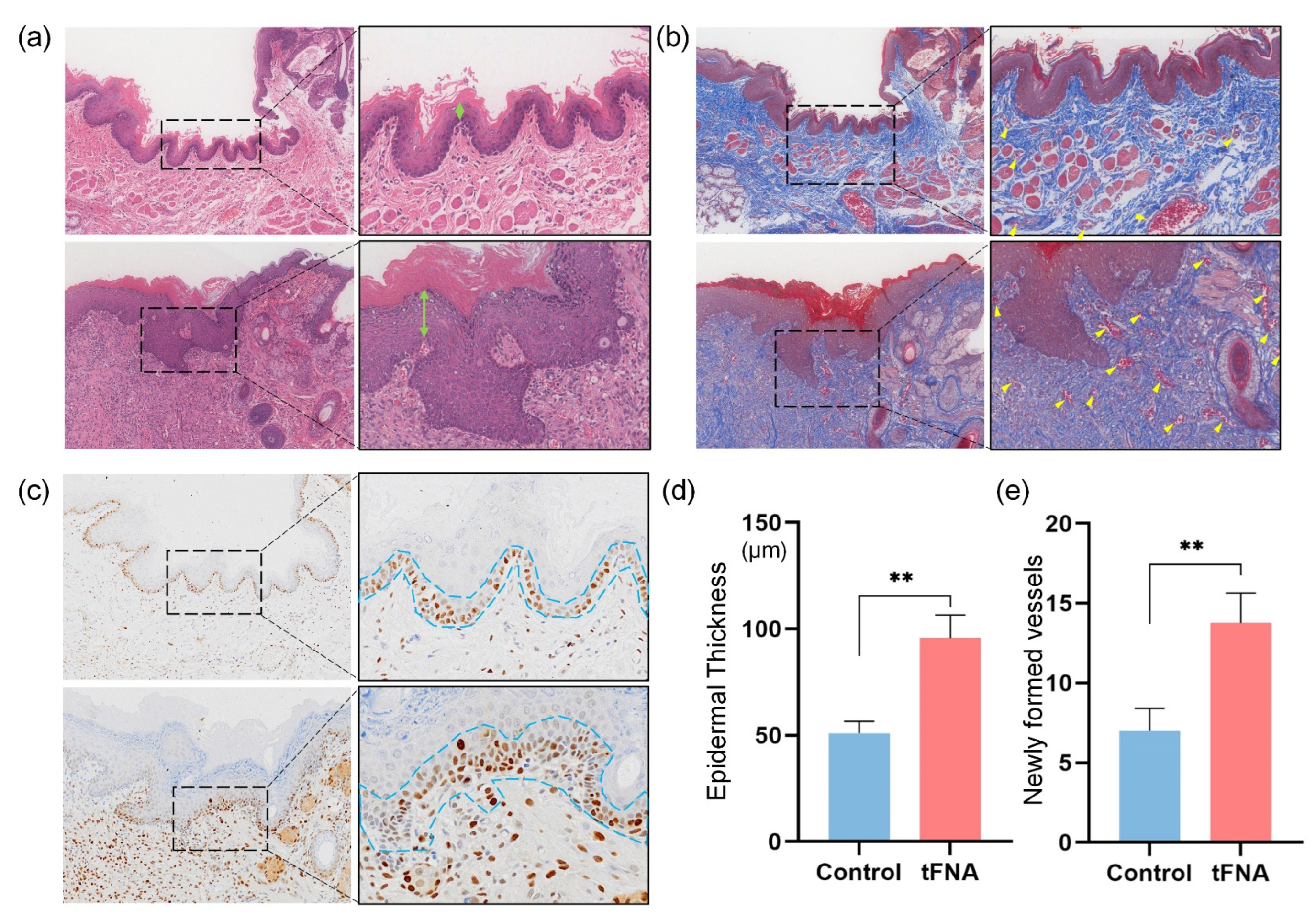 Nanomaterials 14 01693 g013
