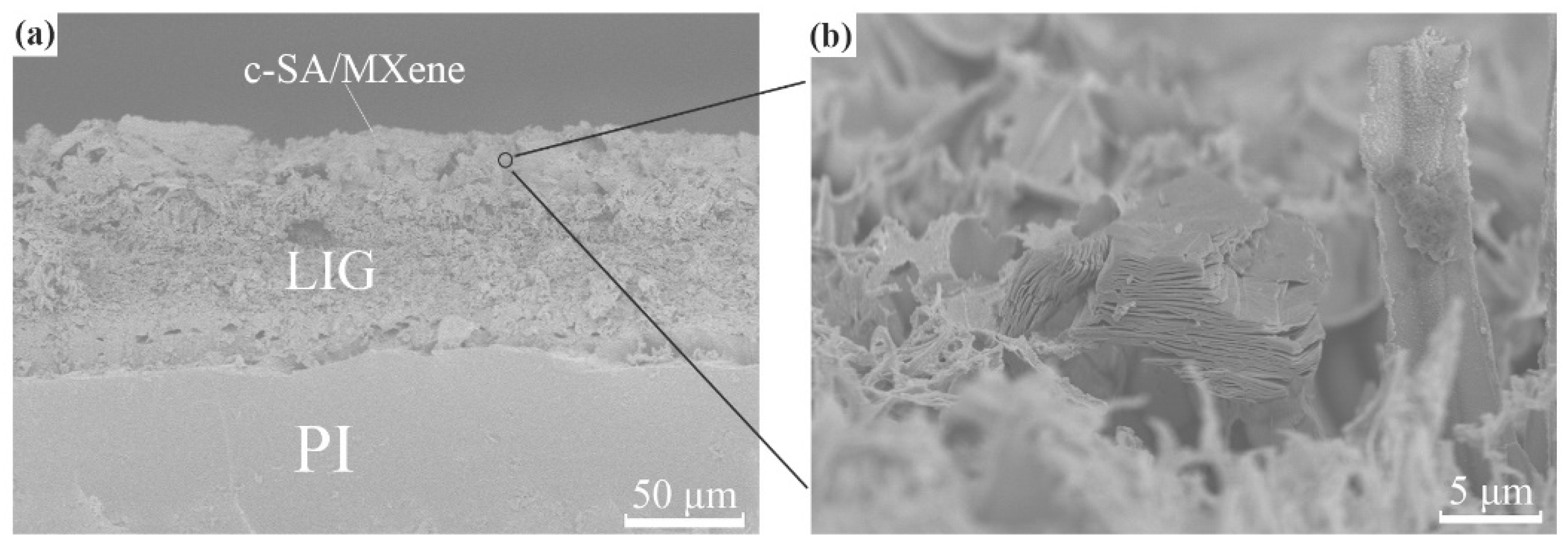 Nanomaterials 14 01694 g005