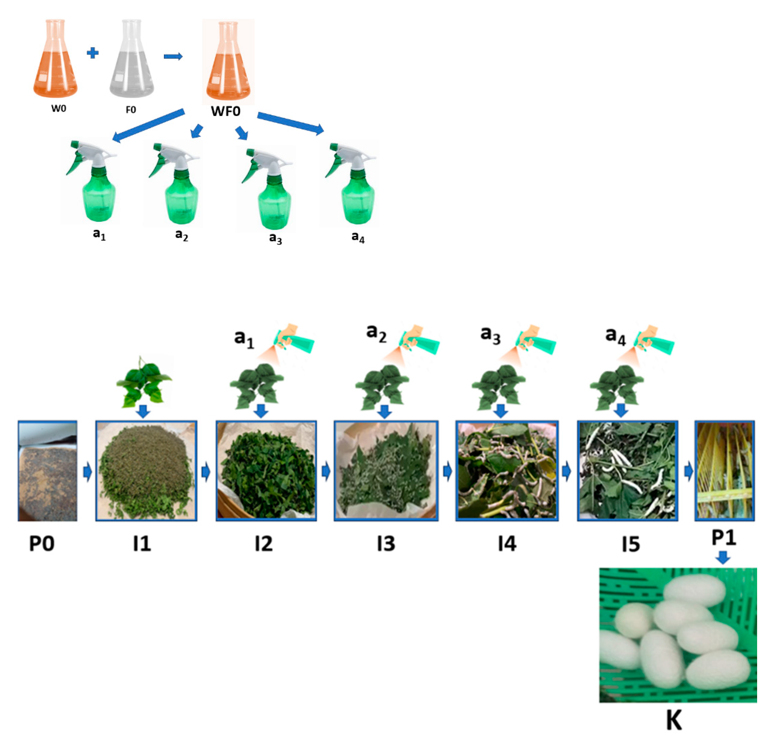 Nanomaterials 14 01697 g002 Nanomaterials 14 01697 g002
