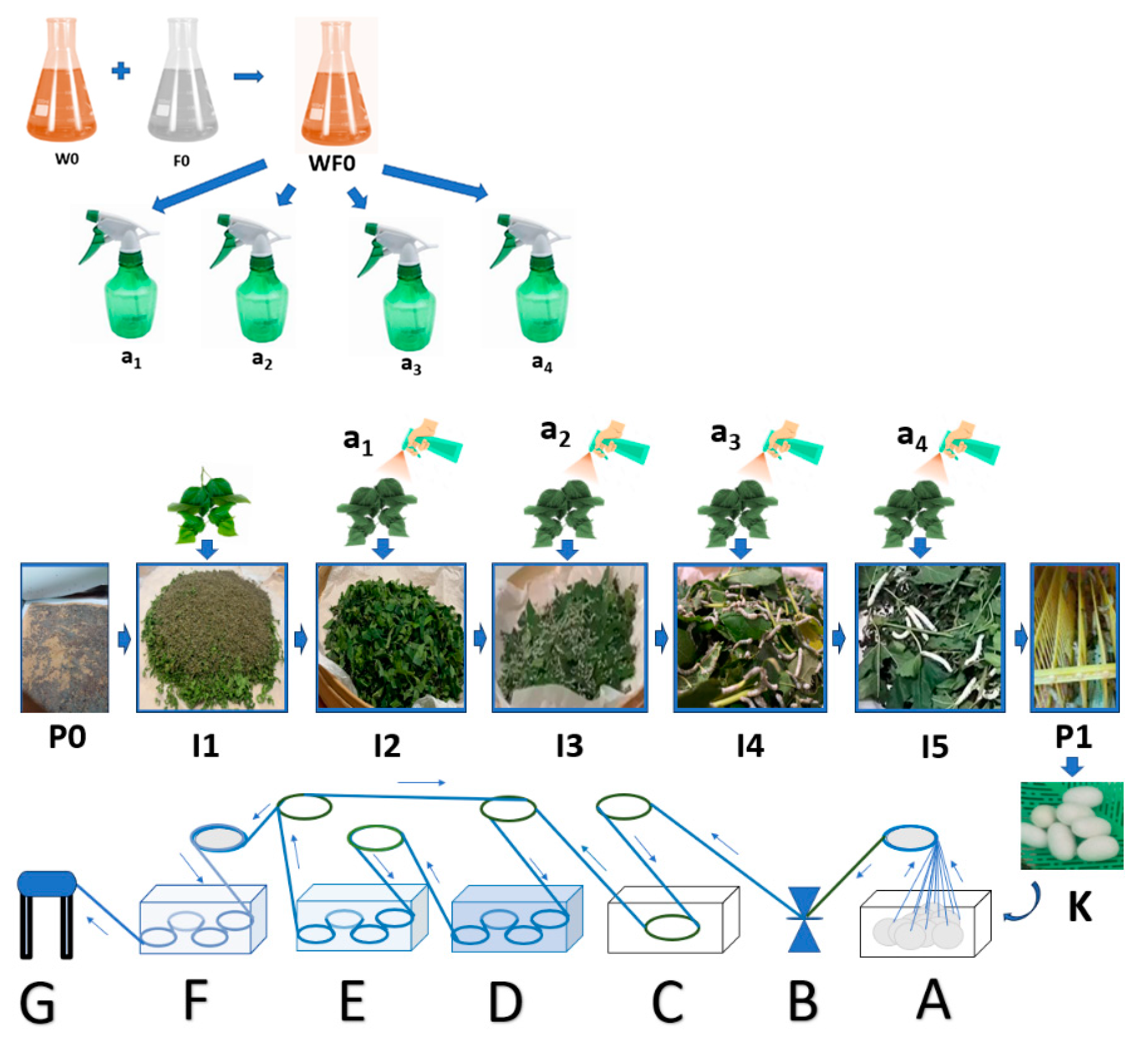 Nanomaterials 14 01697 g003 Nanomaterials 14 01697 g003