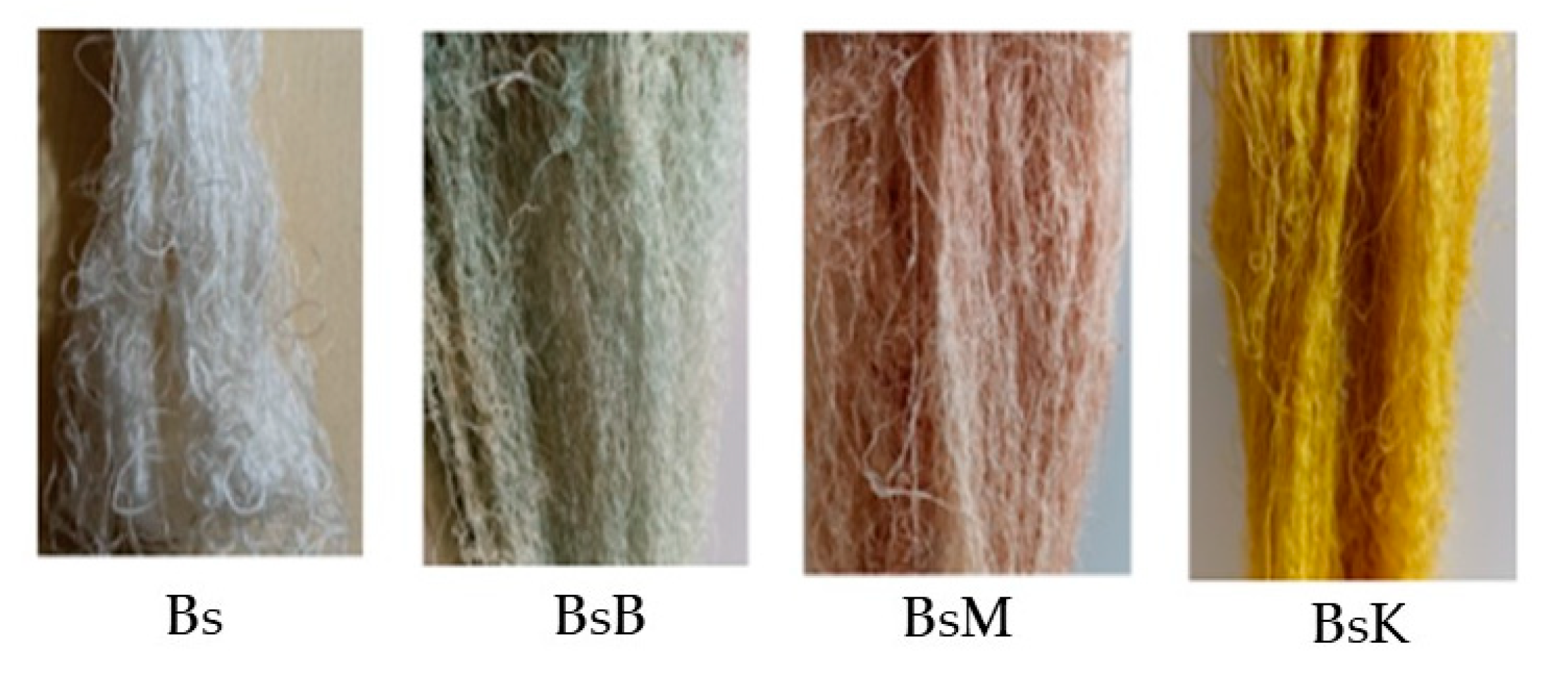 Nanomaterials 14 01697 g004 Nanomaterials 14 01697 g004