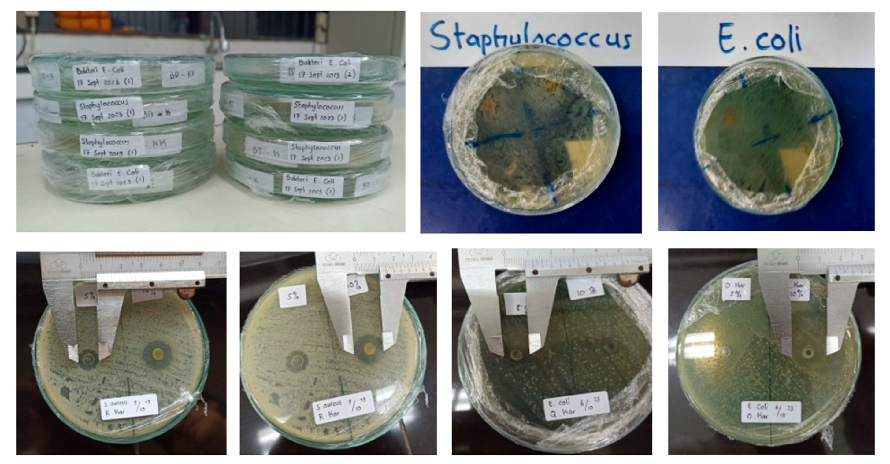 Nanomaterials 14 01697 g016 Nanomaterials 14 01697 g016