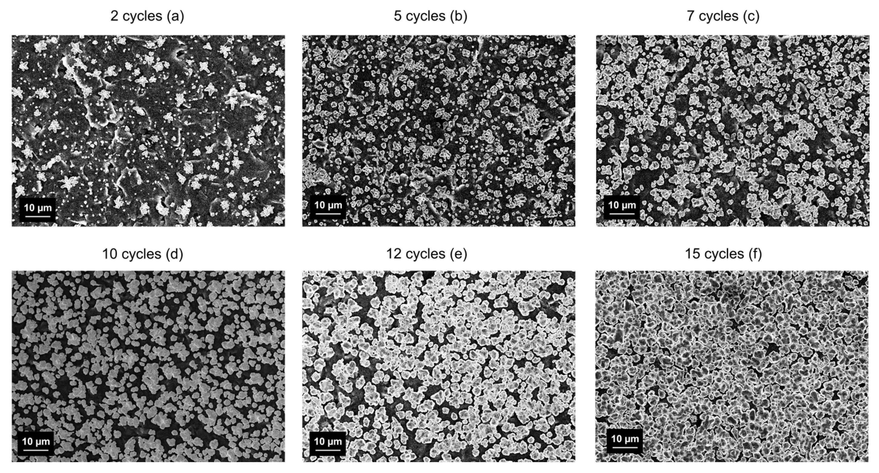 Nanomaterials 14 01704 g002